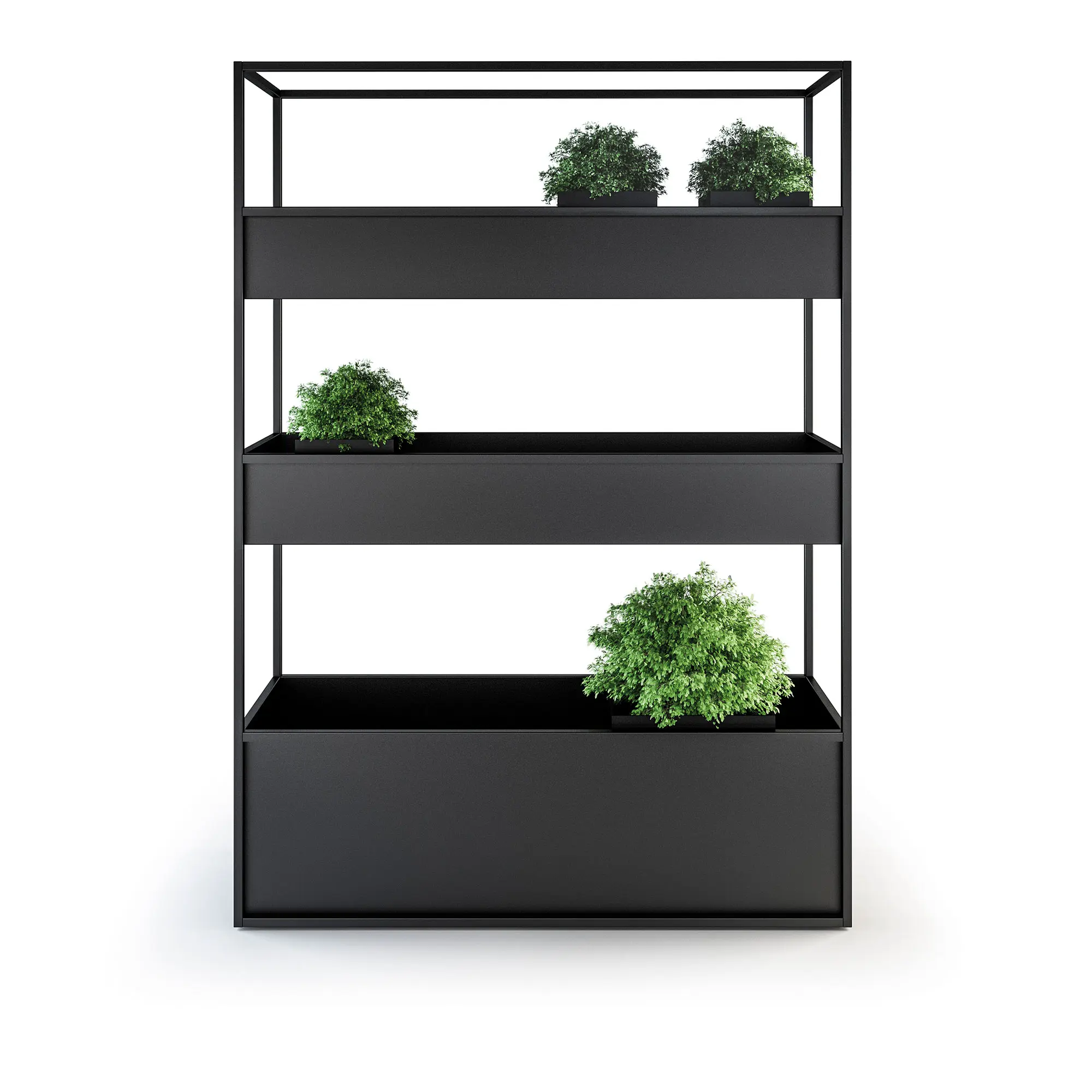 Planter Carl