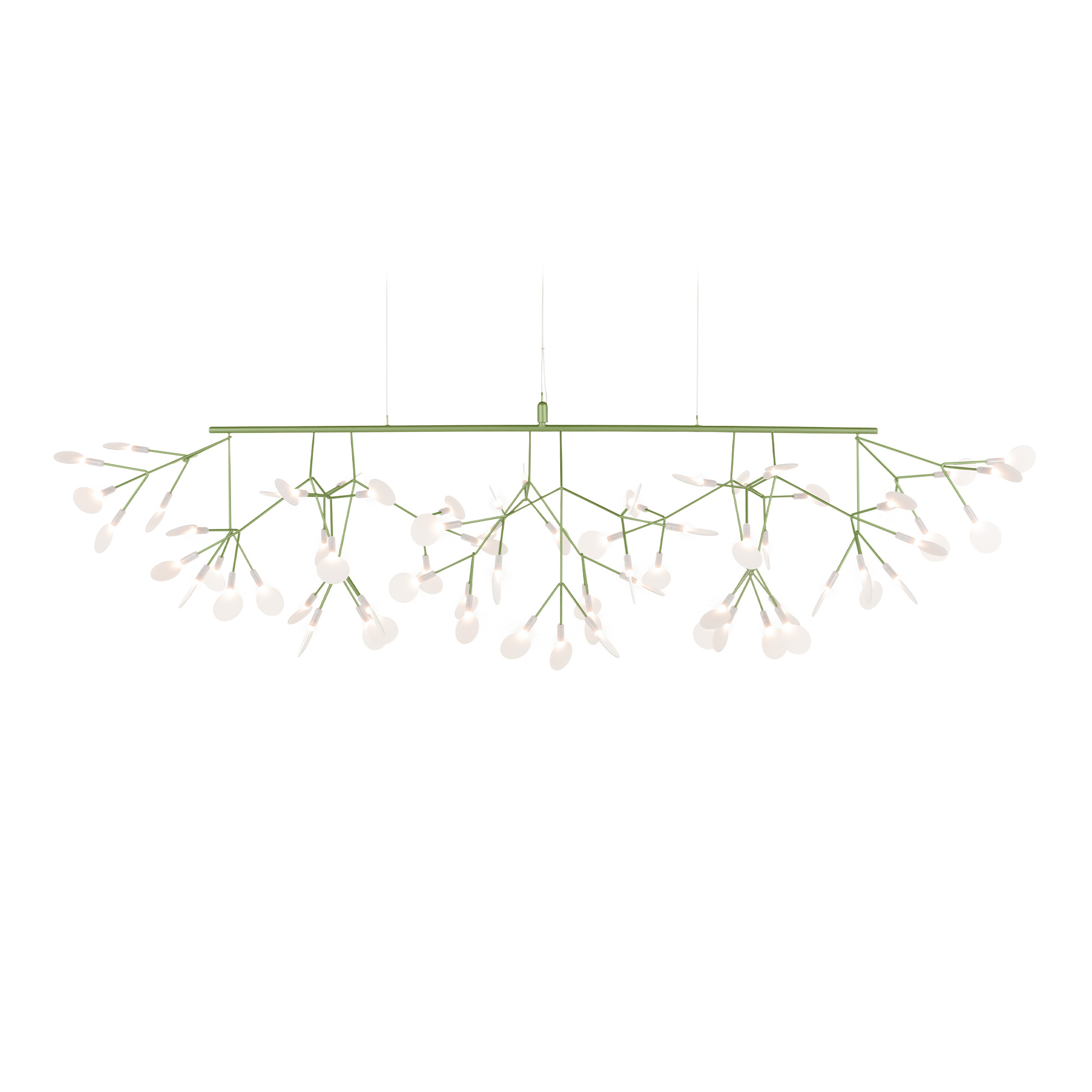 Moooi - Heracleum III, Linear Green - Takkronor - Bertjan Pot - Grön