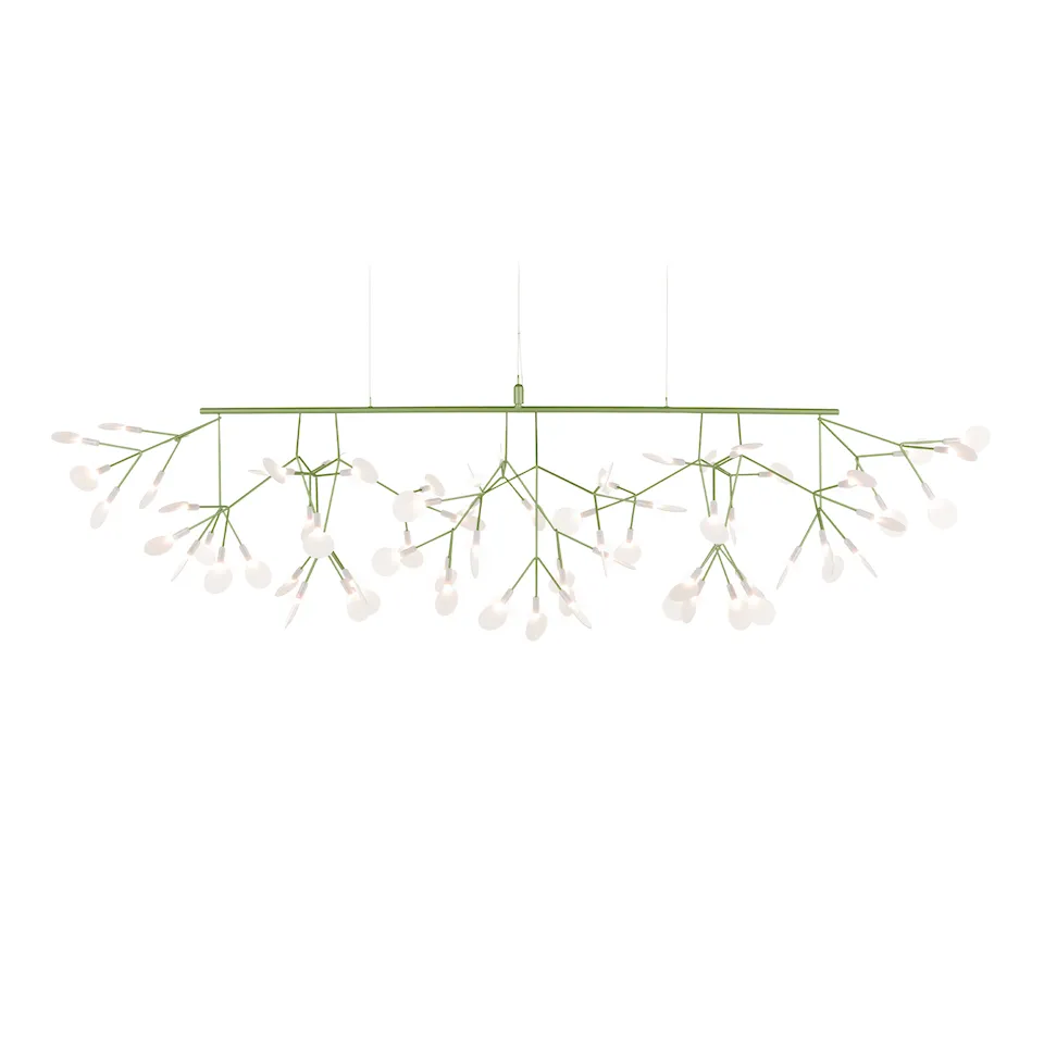Heracleum III Linear