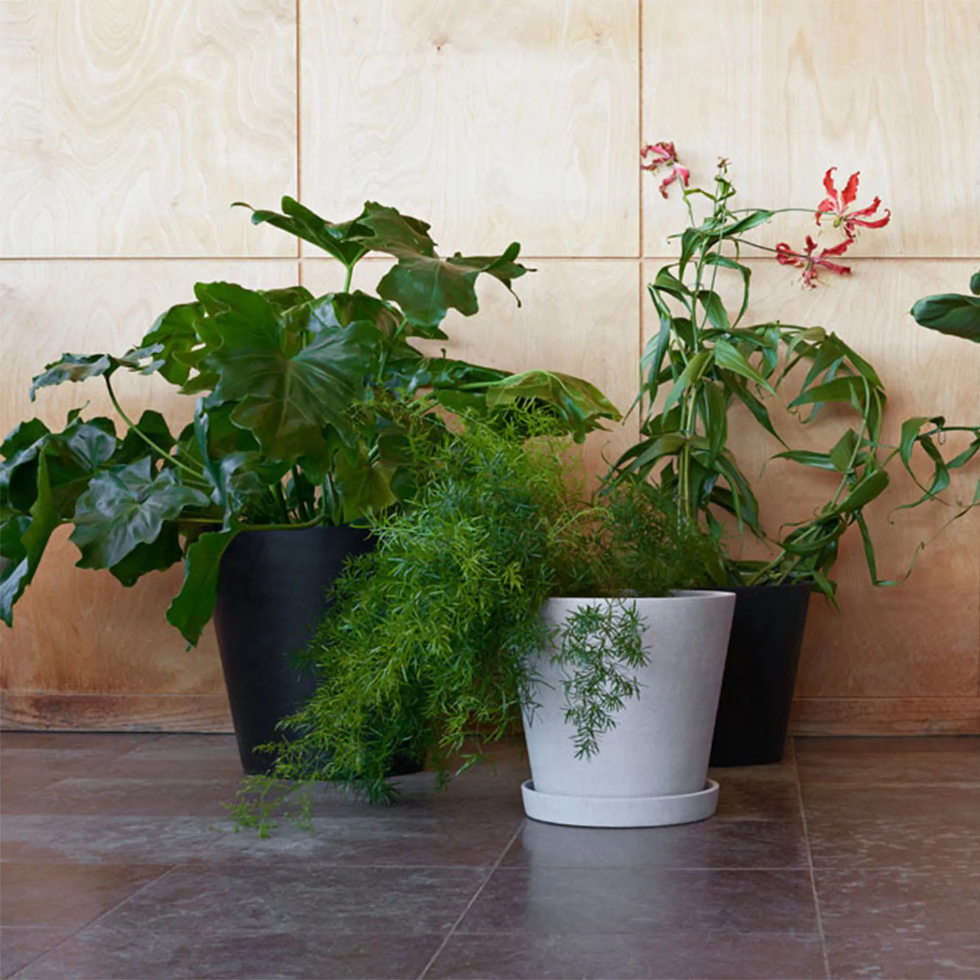 Flowerpot kruka & fat Grey
