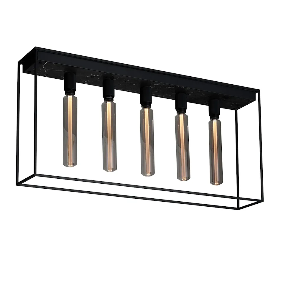 Caged Ceiling 5.0
