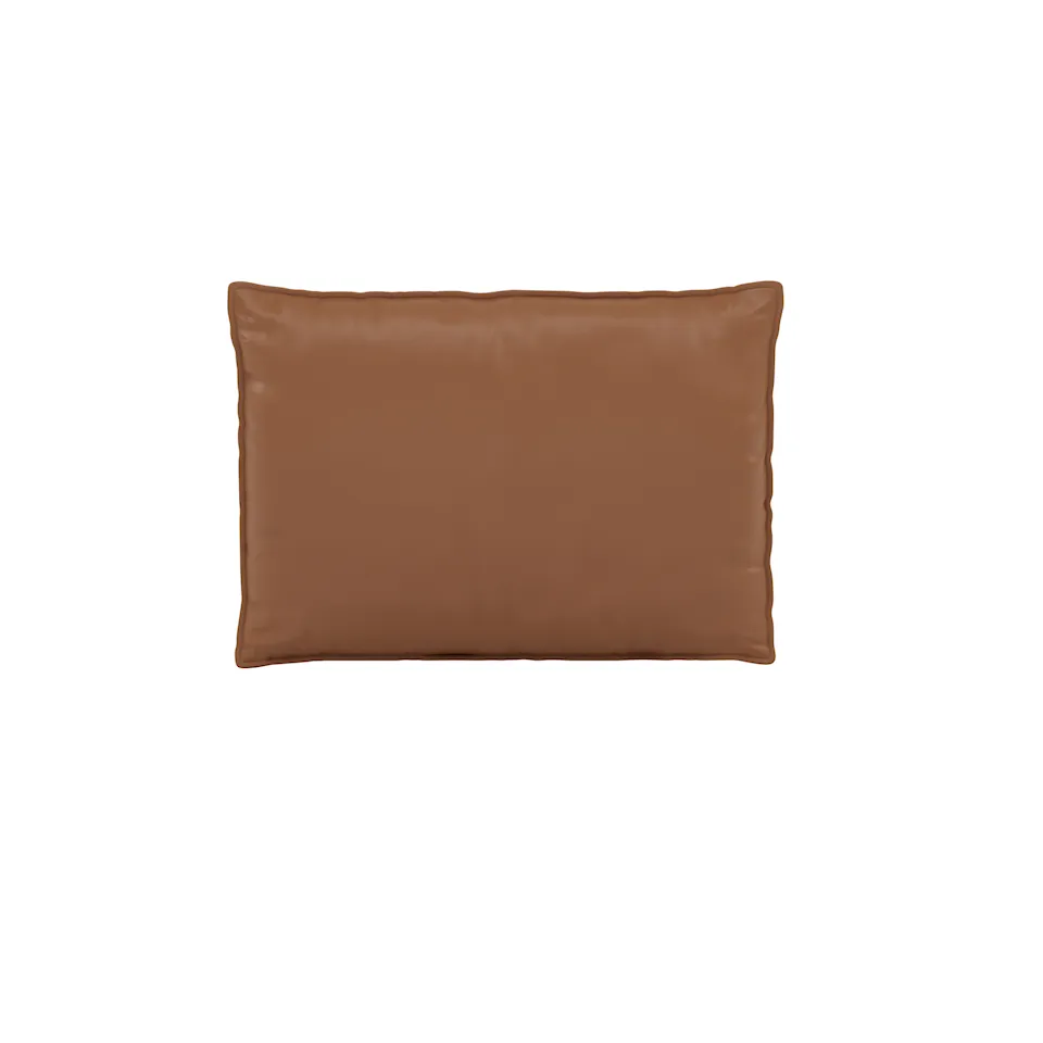 In Situ Cushion Refine Cognac