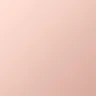 41 Pale Rose