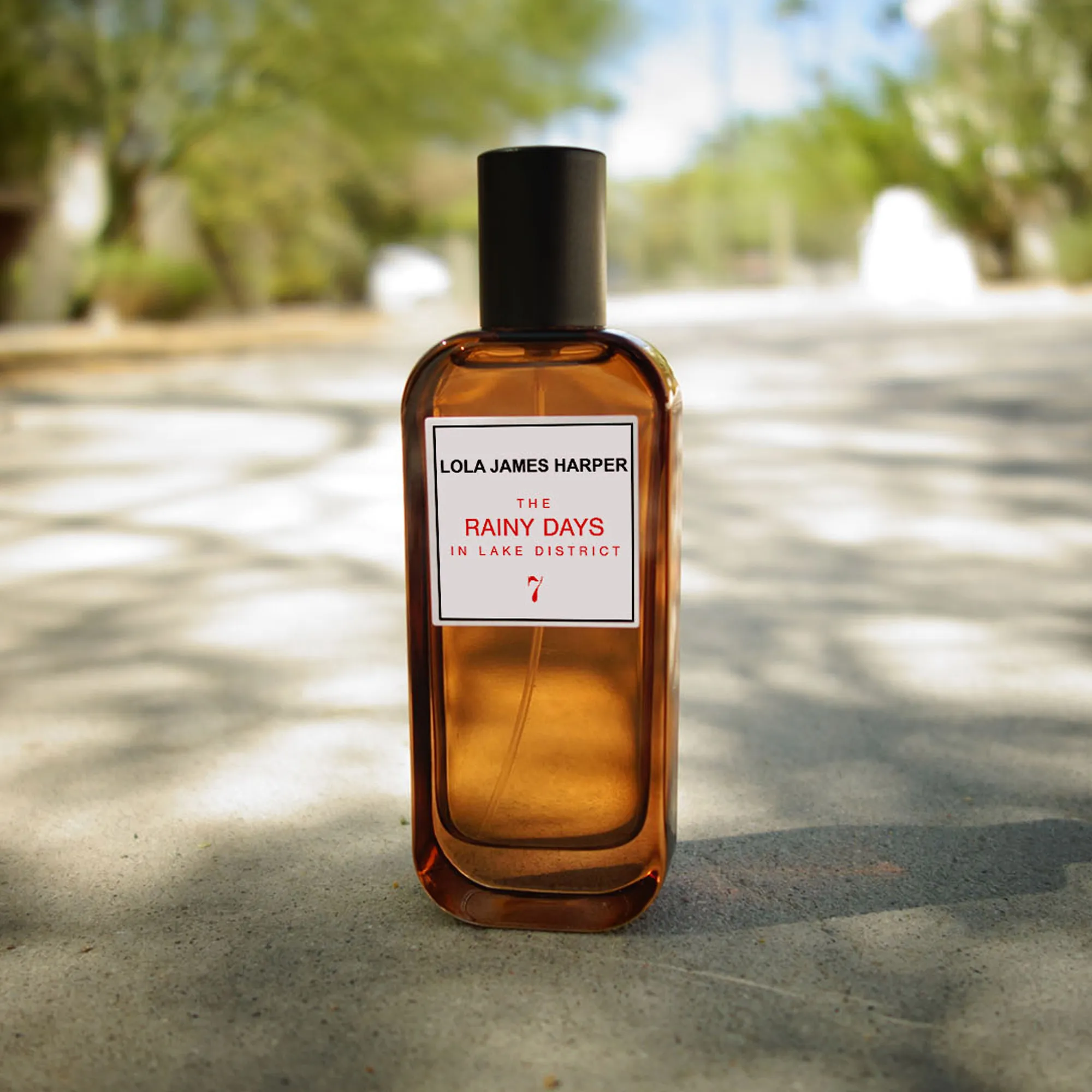 The Rainy Days in Lake District Room Spray