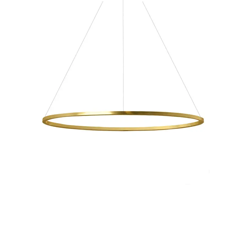 Ellisse Minor Pendant, Downlight