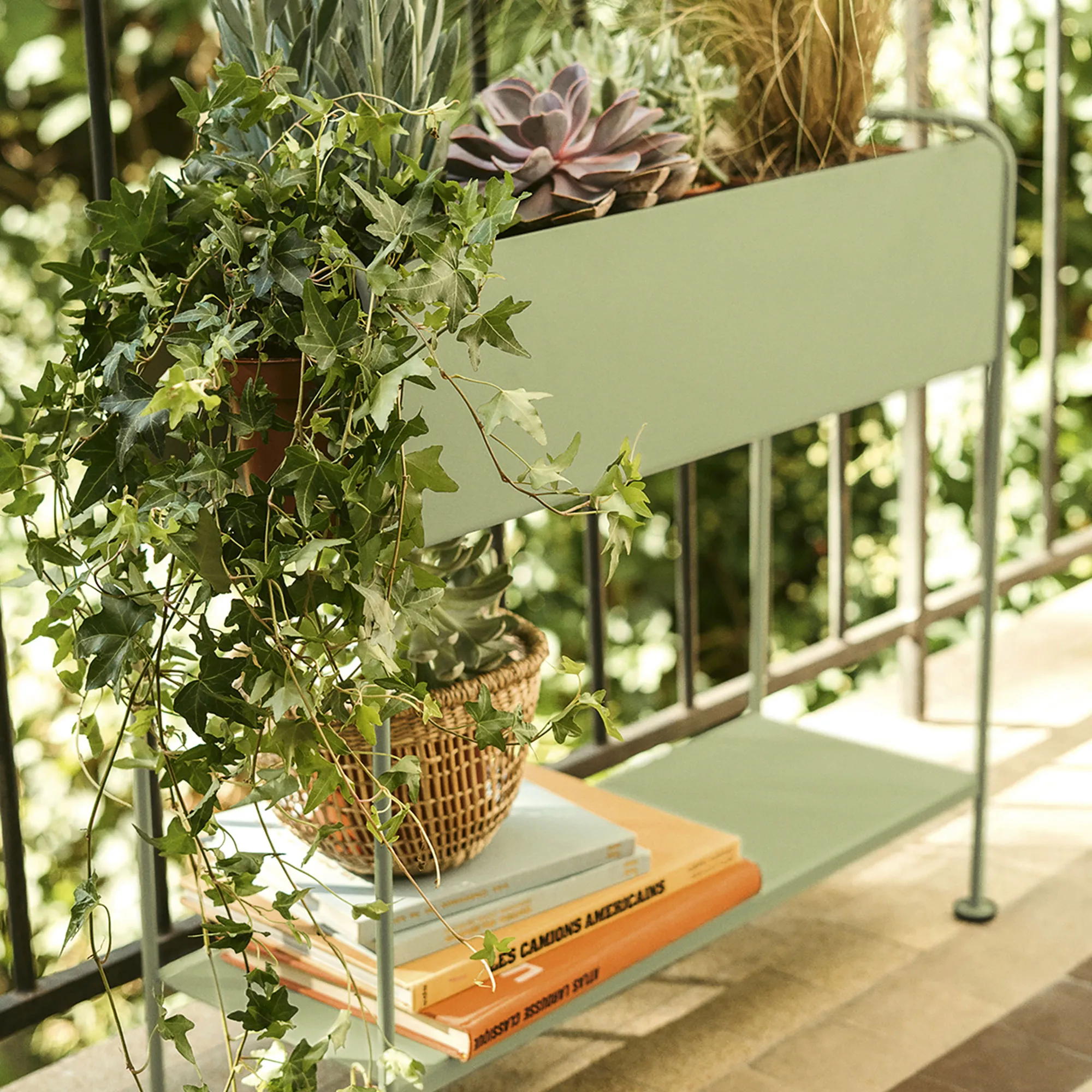 Picolino Plant Holder