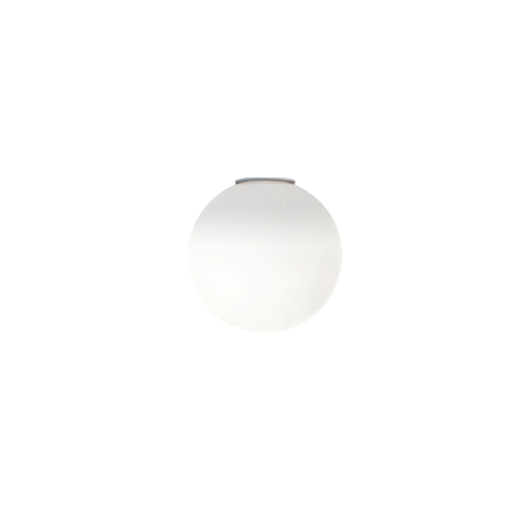 Dioscuri Wall/Ceiling Lamp