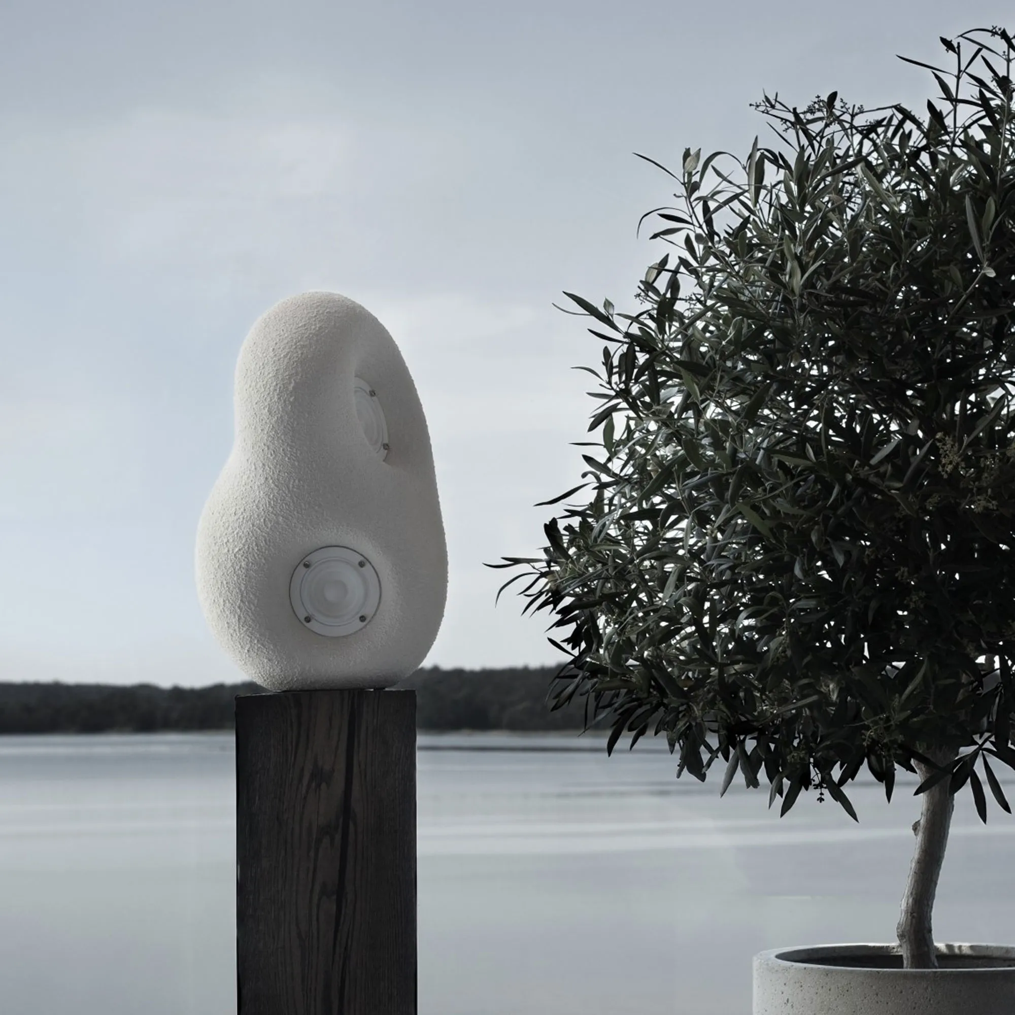 Acoustic Sculpture Speaker