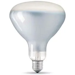RF31458 E27 13W 1300lm 2700K Dimbar