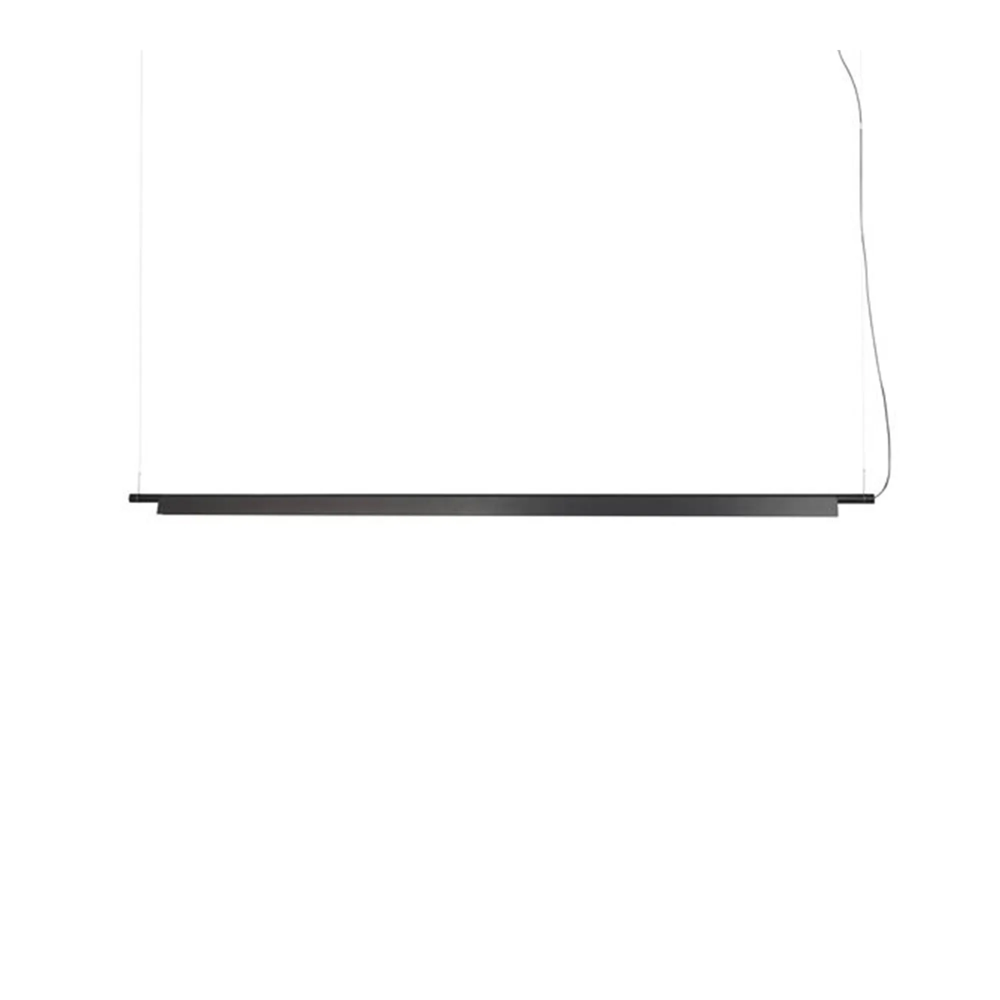 Compendium D81SW