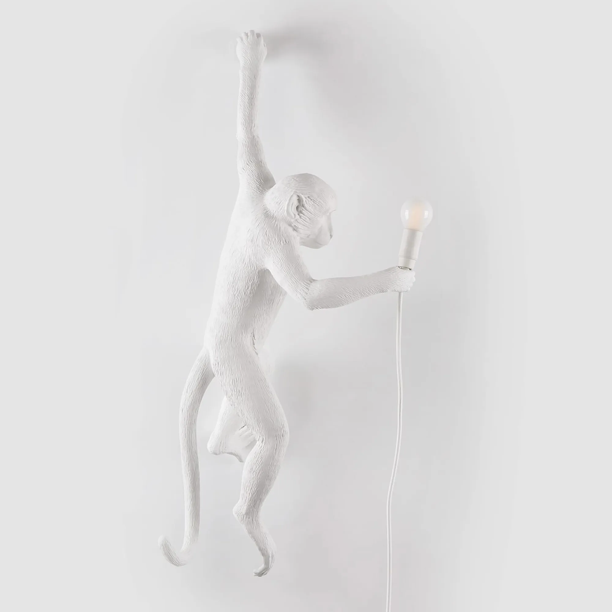 Monkey Lamp Hanging