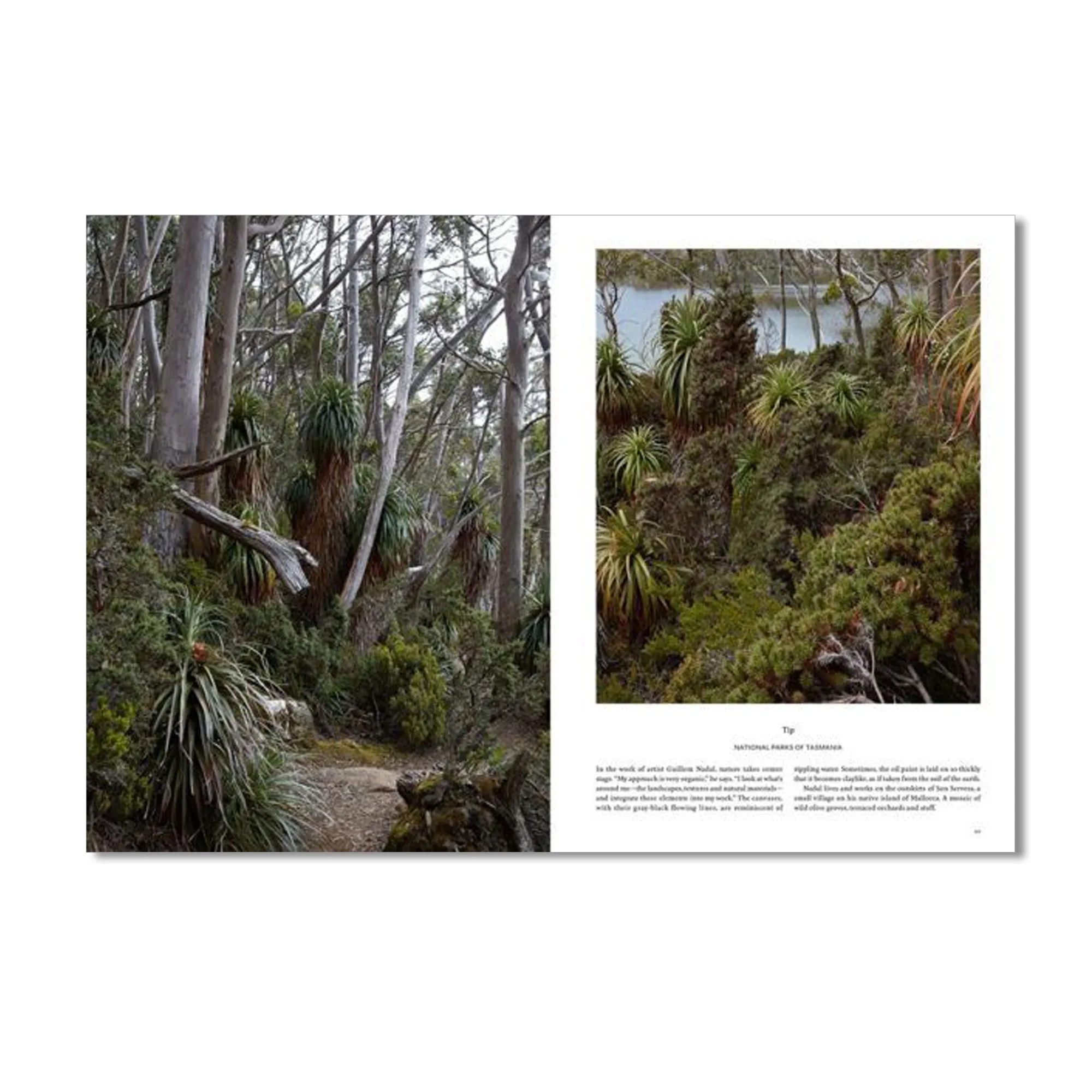 Kinfolk Travel