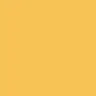 Yellow/clear lacquered birch