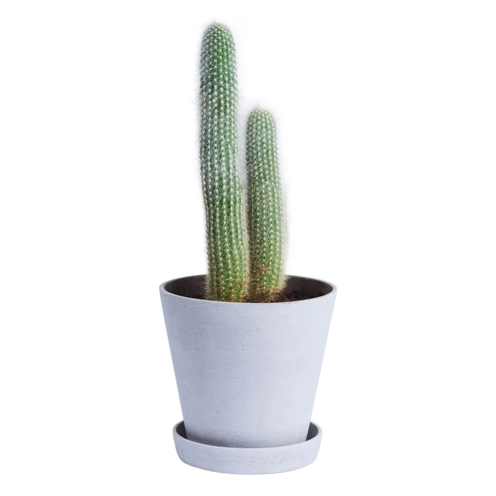 Flowerpot kruka & fat Grey