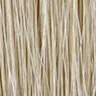Palomino