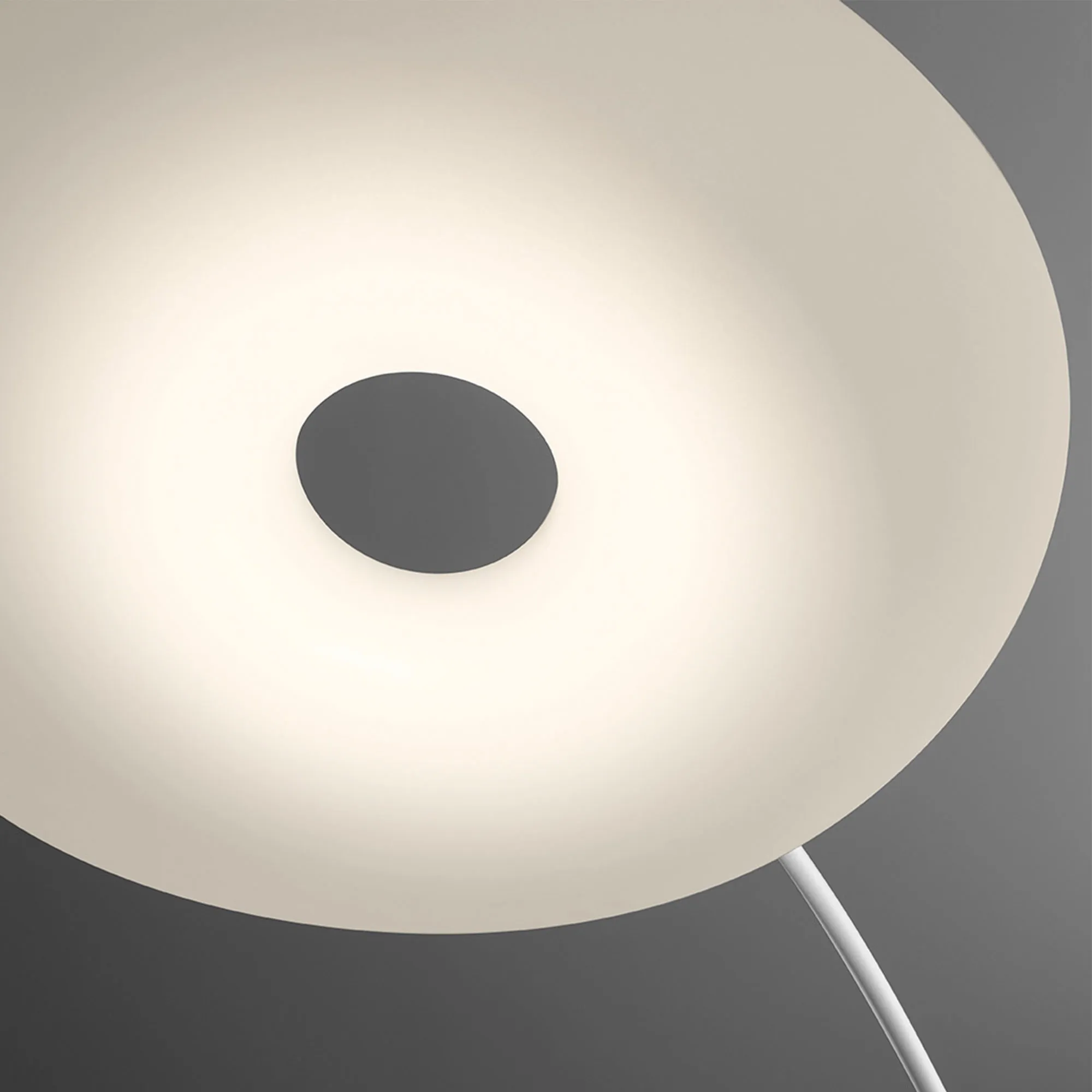 Mr Magoo Floor Lamp