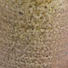 Wood-Fired