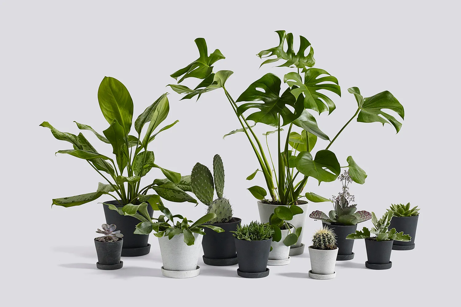 Flowerpot kruka & fat Grey