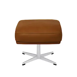 4210 Oksen fotskammel