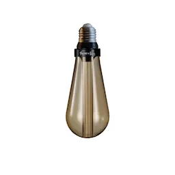 Buster Bulb