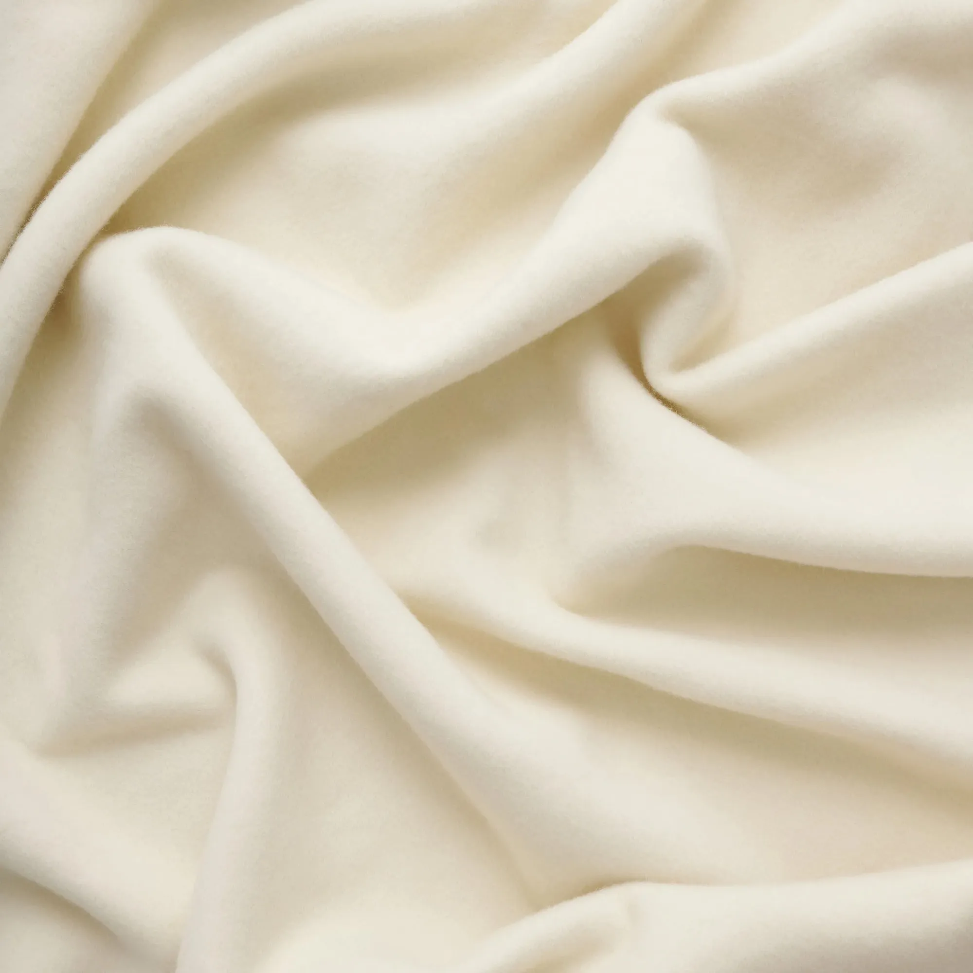Bold Blanket
