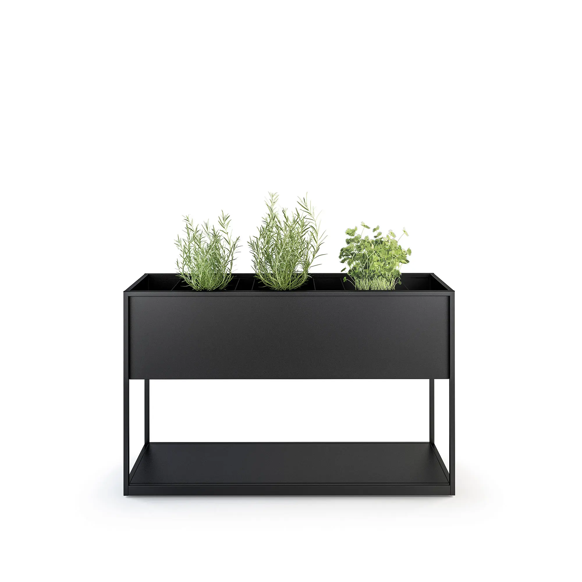 Planter Carl