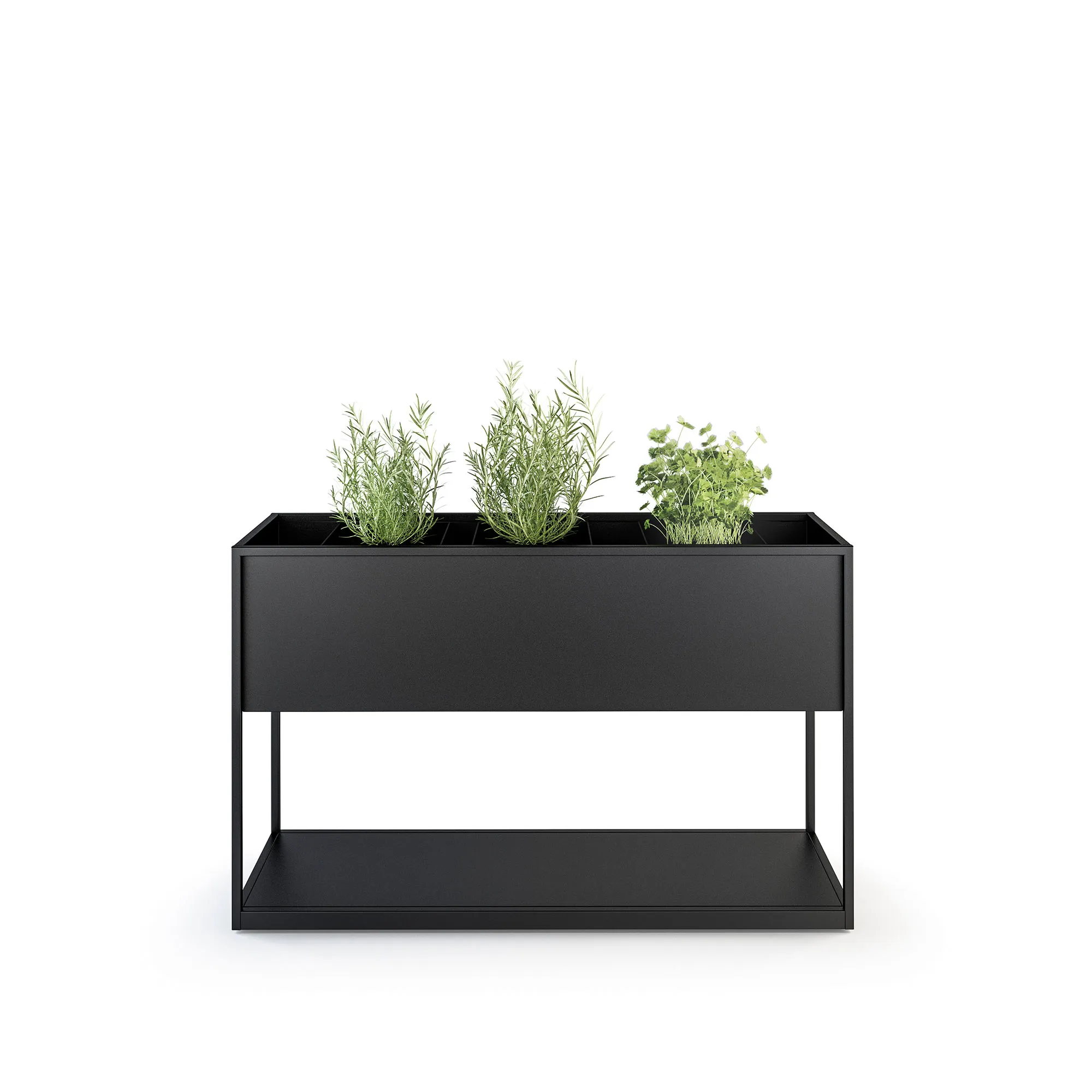 Planter Carl