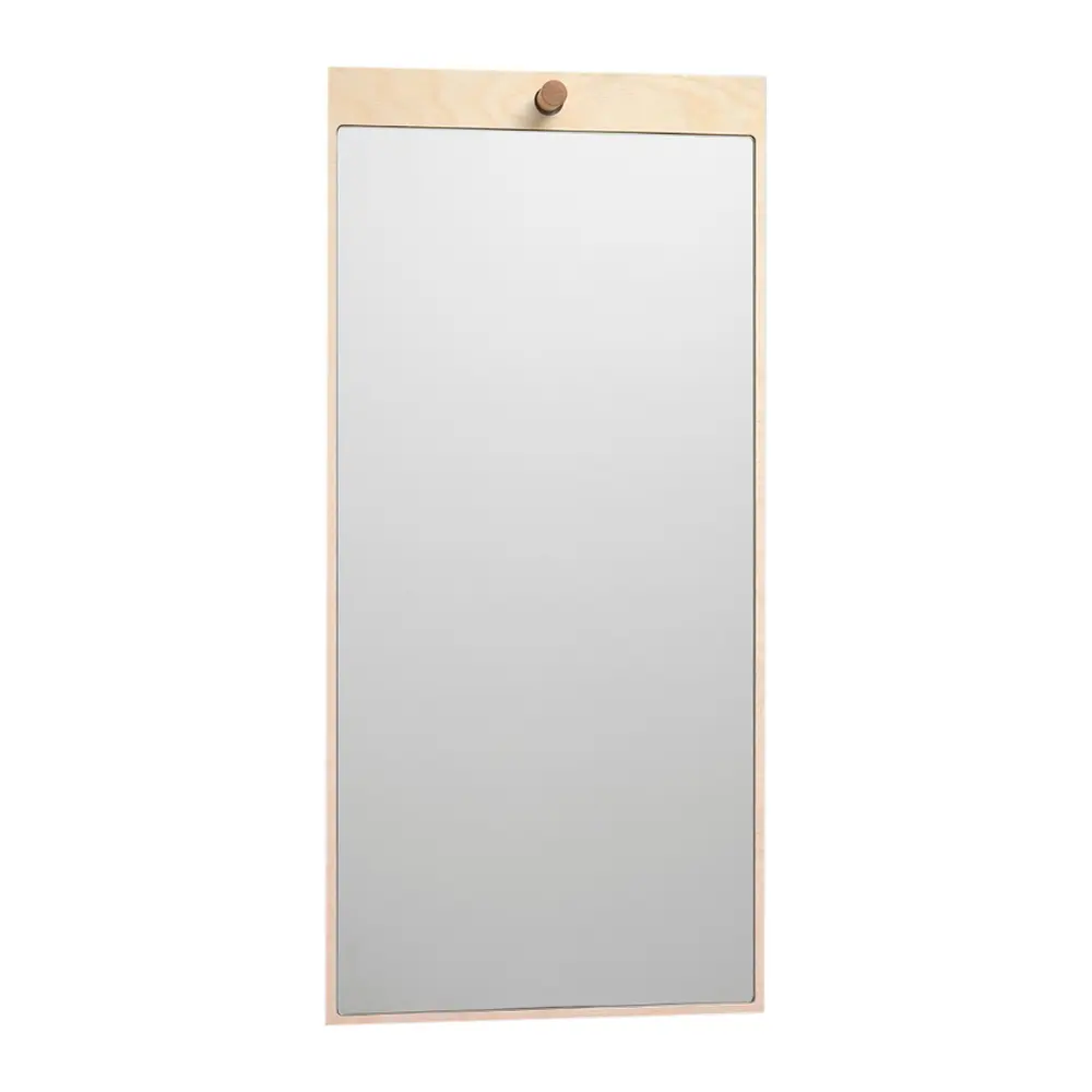 Tillbakablick Spegel 79x37 cm