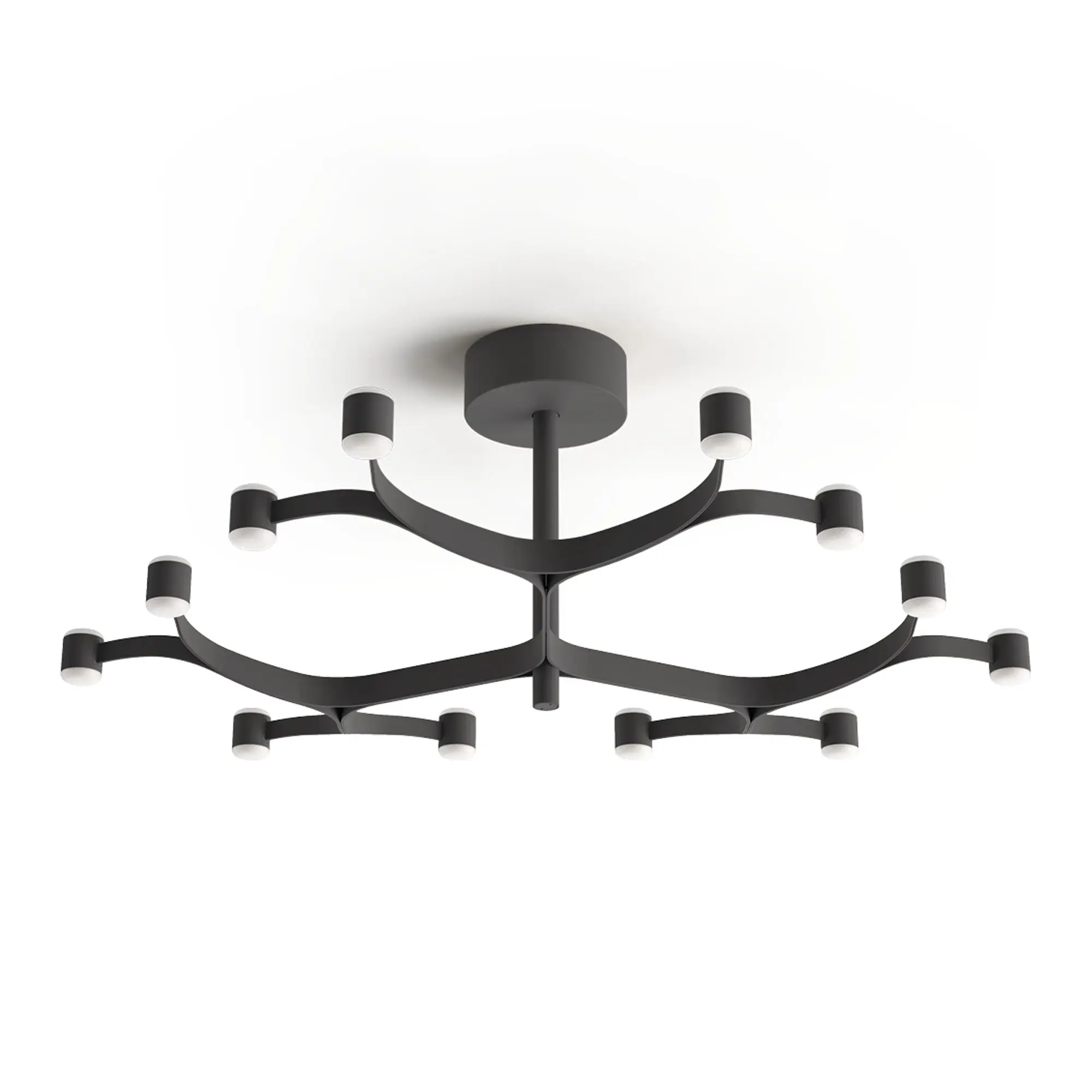 Fronda 12 Phase-Cut plafond