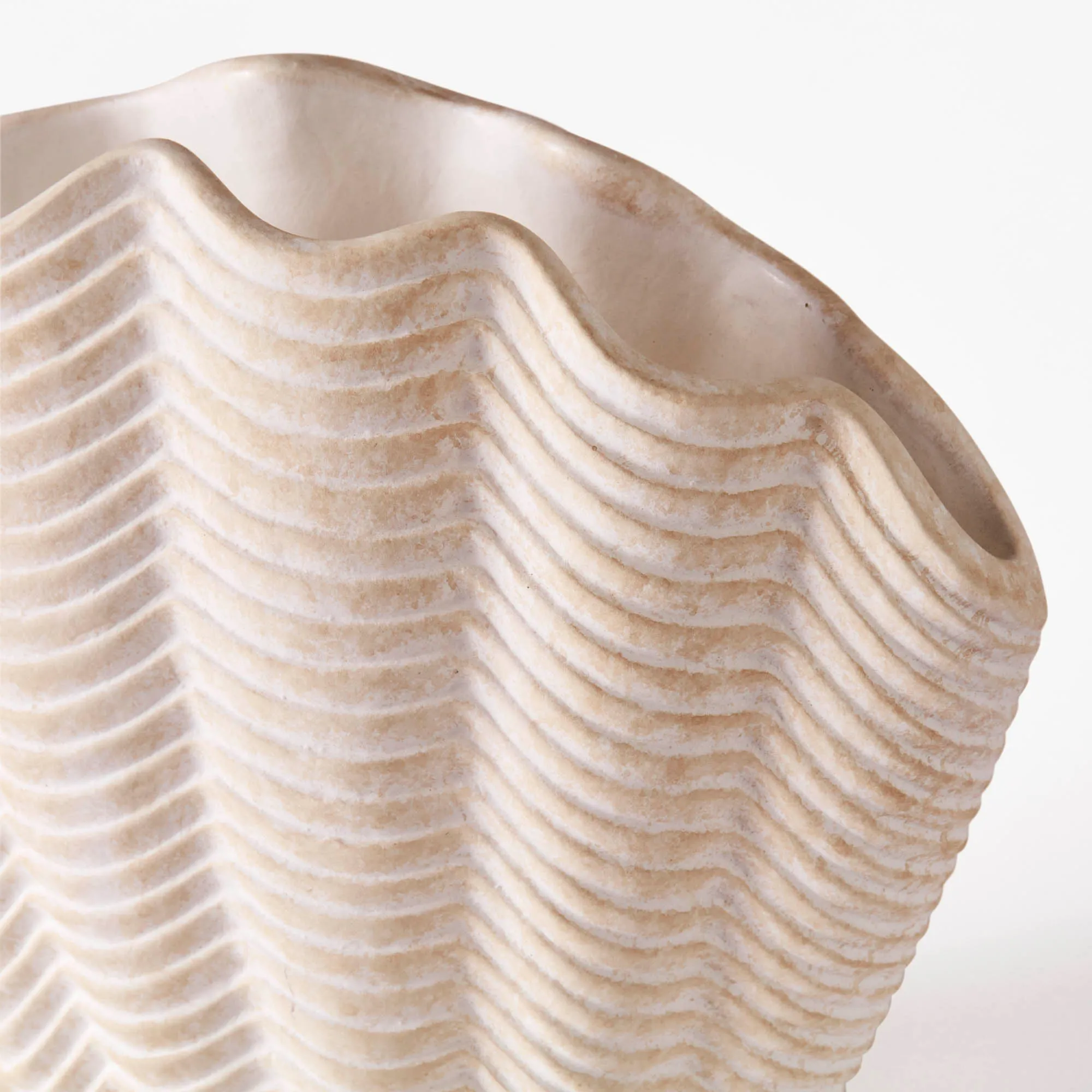 Concha Vase Fluted Medium