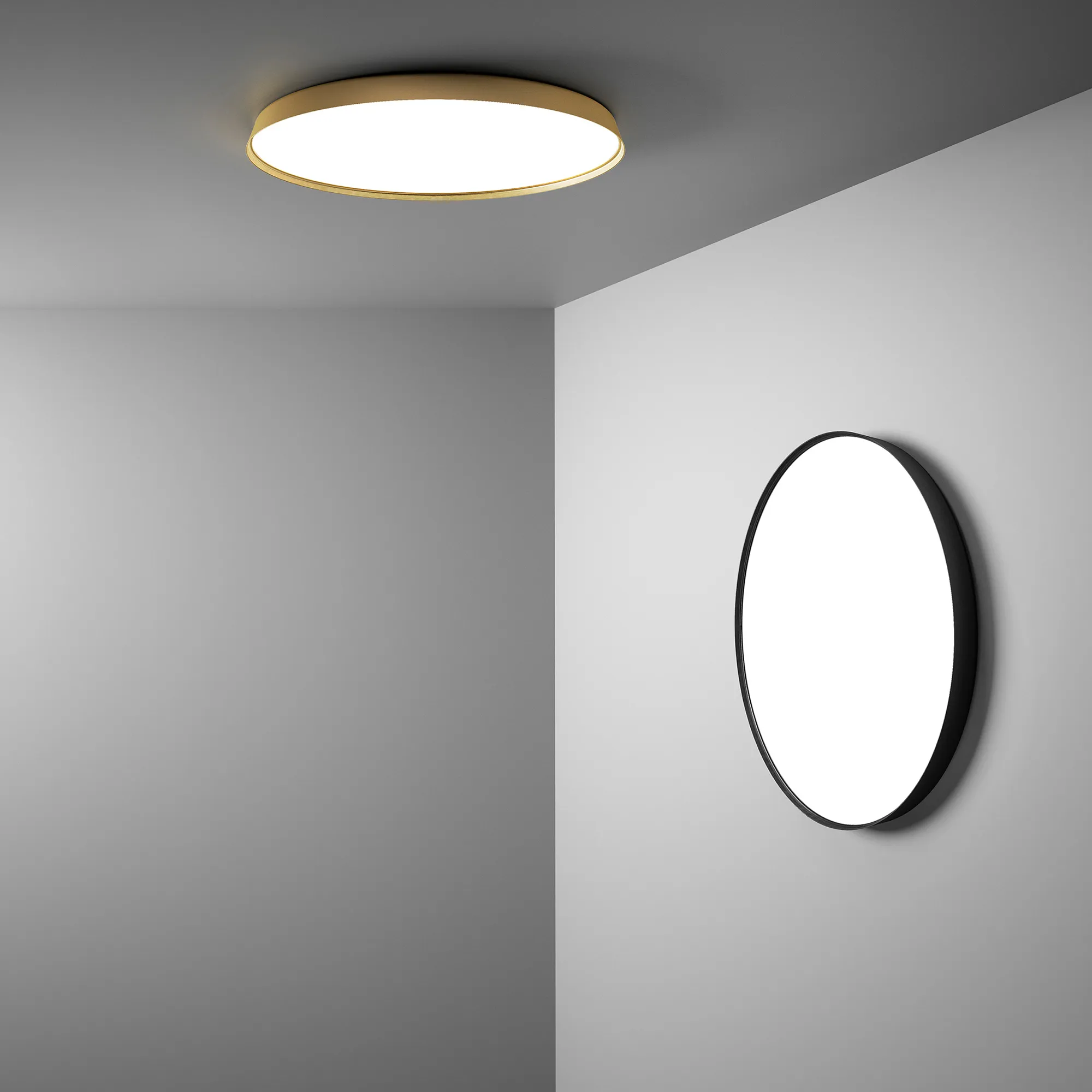 Compendium Plate Wall / Ceiling D81P