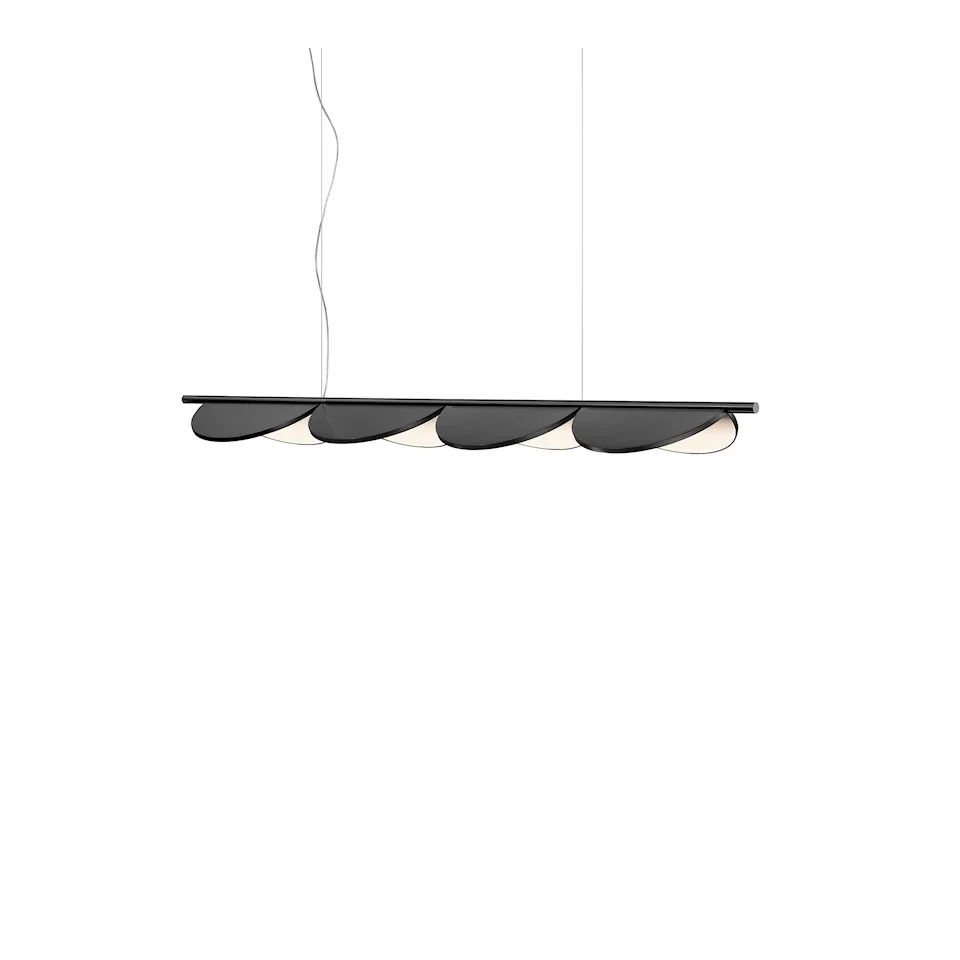 Almendra Linear S4