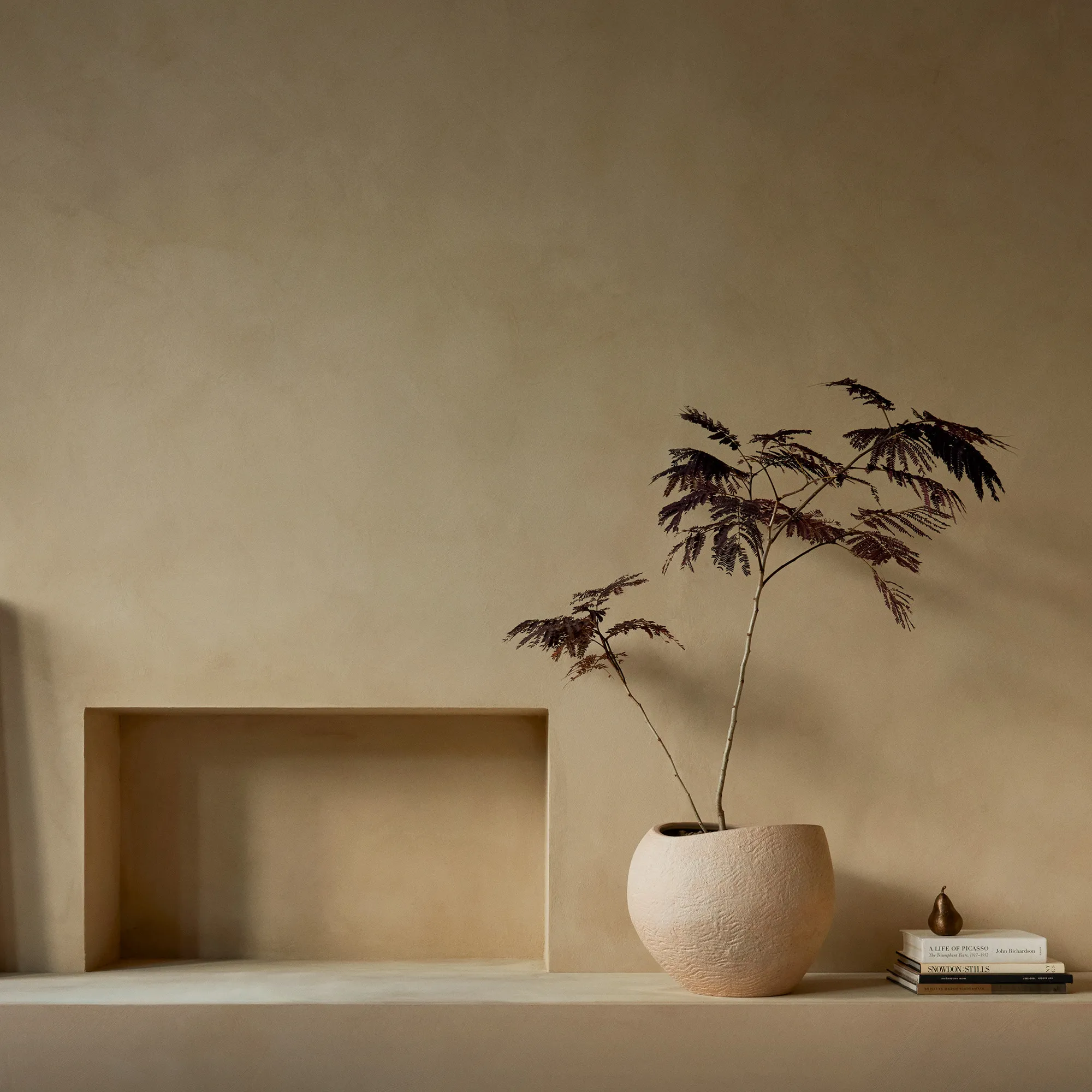Plantas blomsterpotte