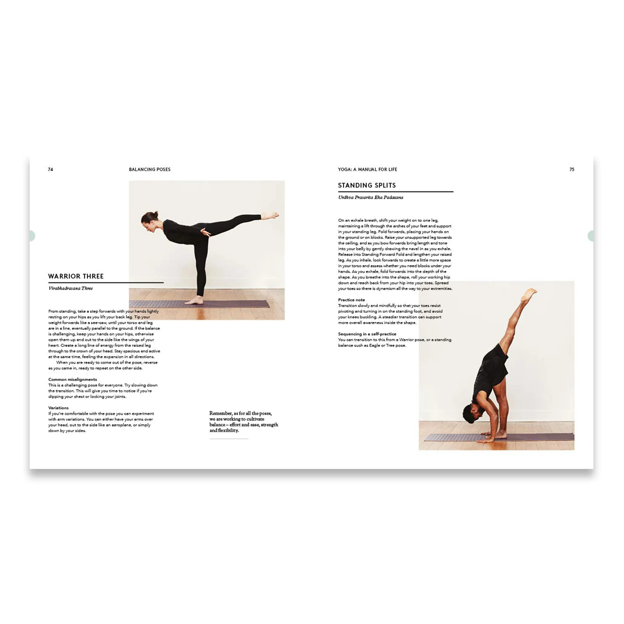 Yoga A Manual for Life