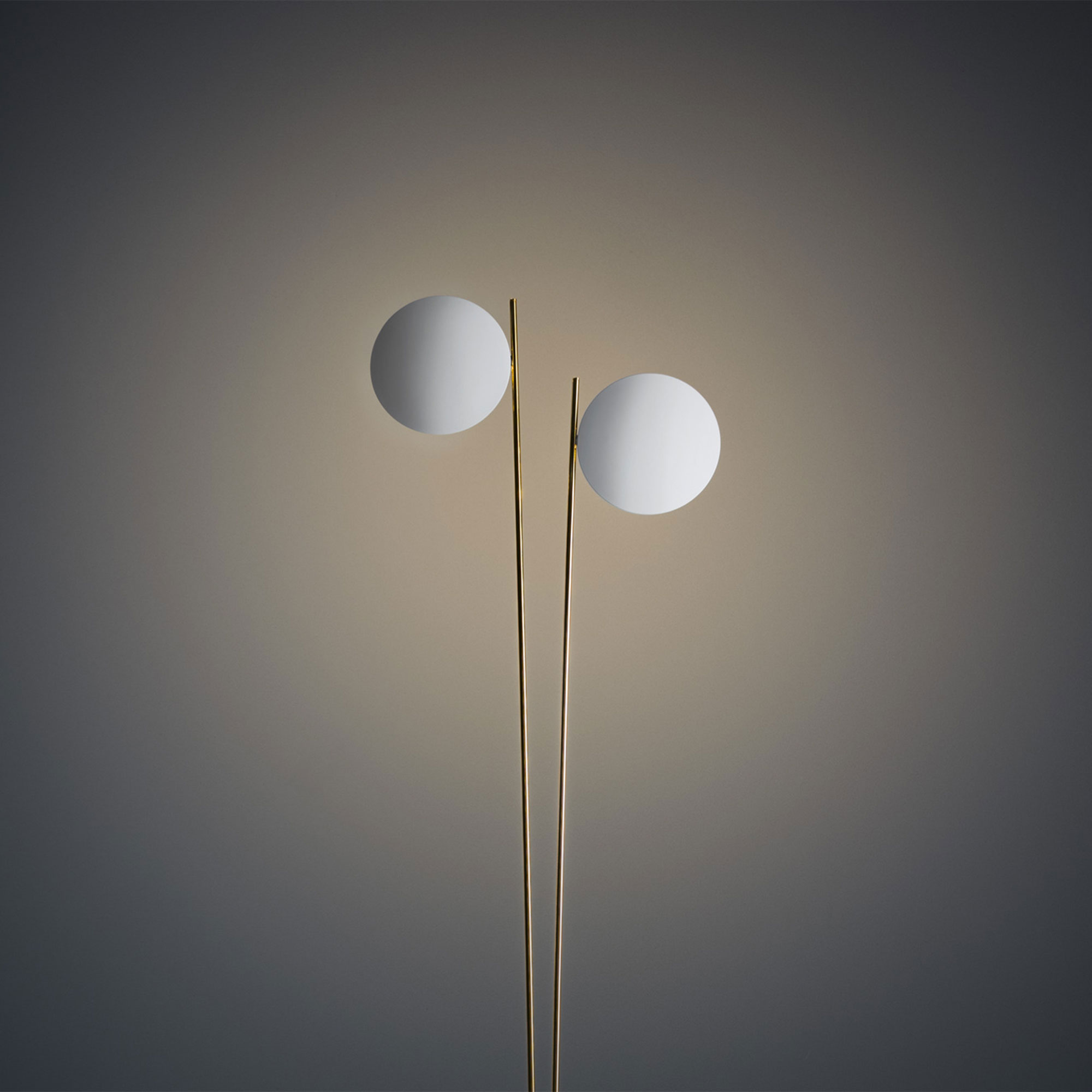 Catellani & Smith - Lederam F2, Vit med guldstav - Skärmlampor - Enzo Catellani - Vit