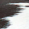 Black Ash - Skin Black/White