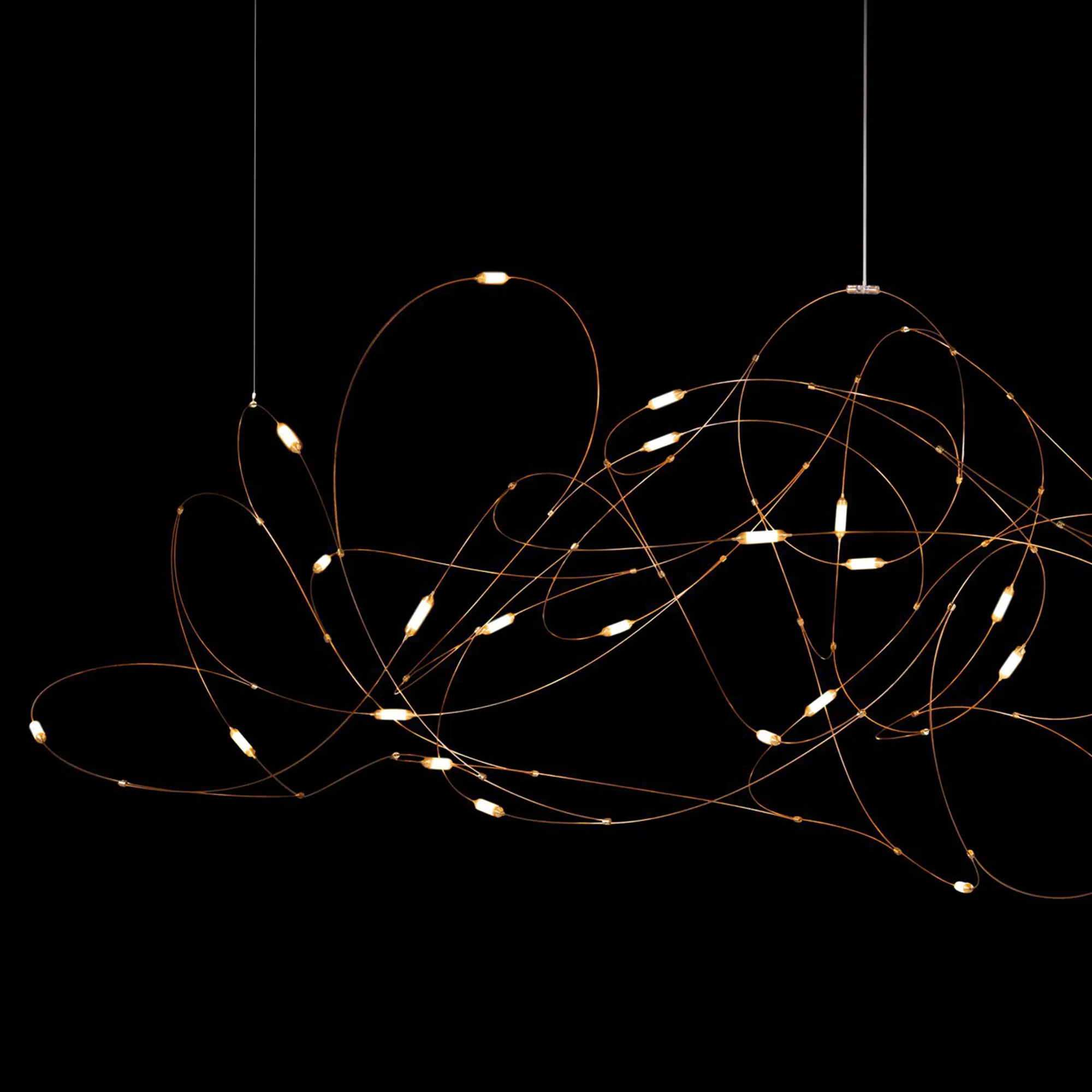 Flock of Light 31