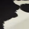 Black/White