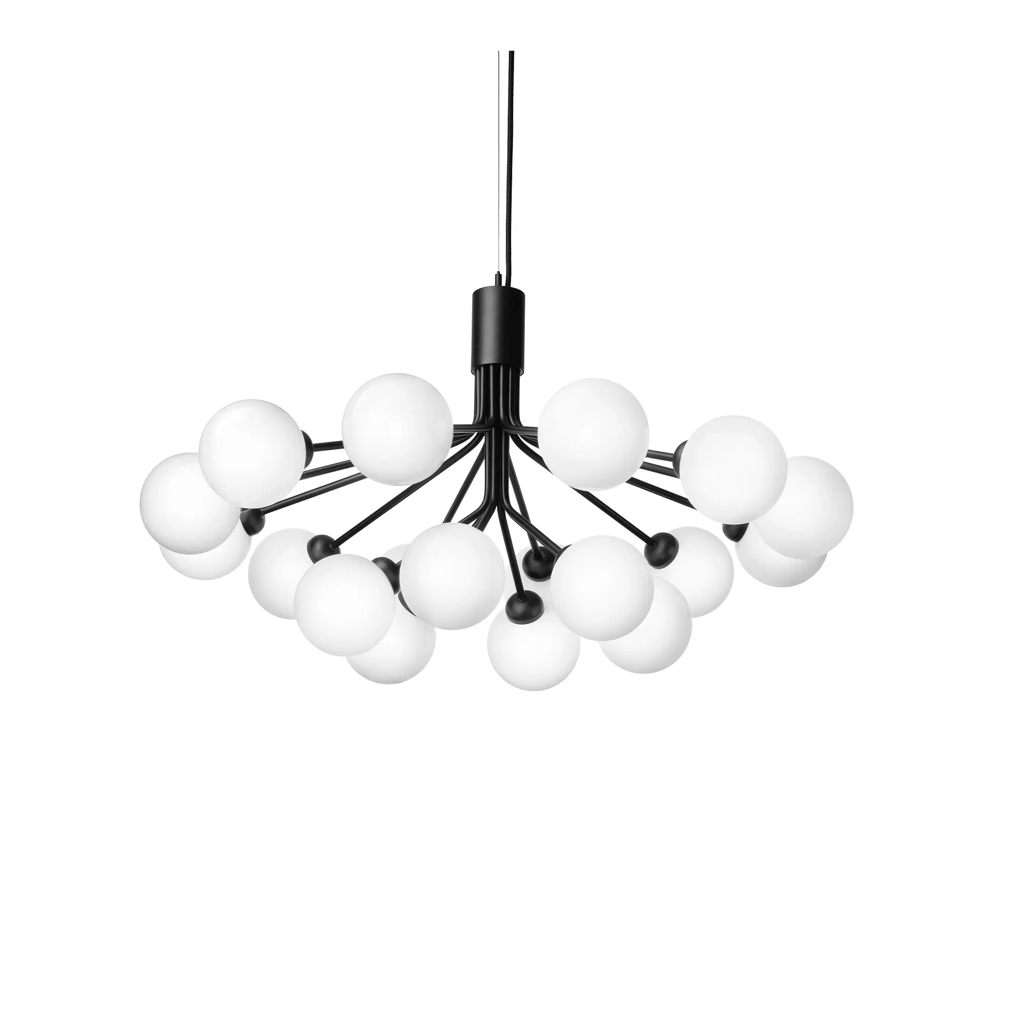 Apiales 18 Pendant