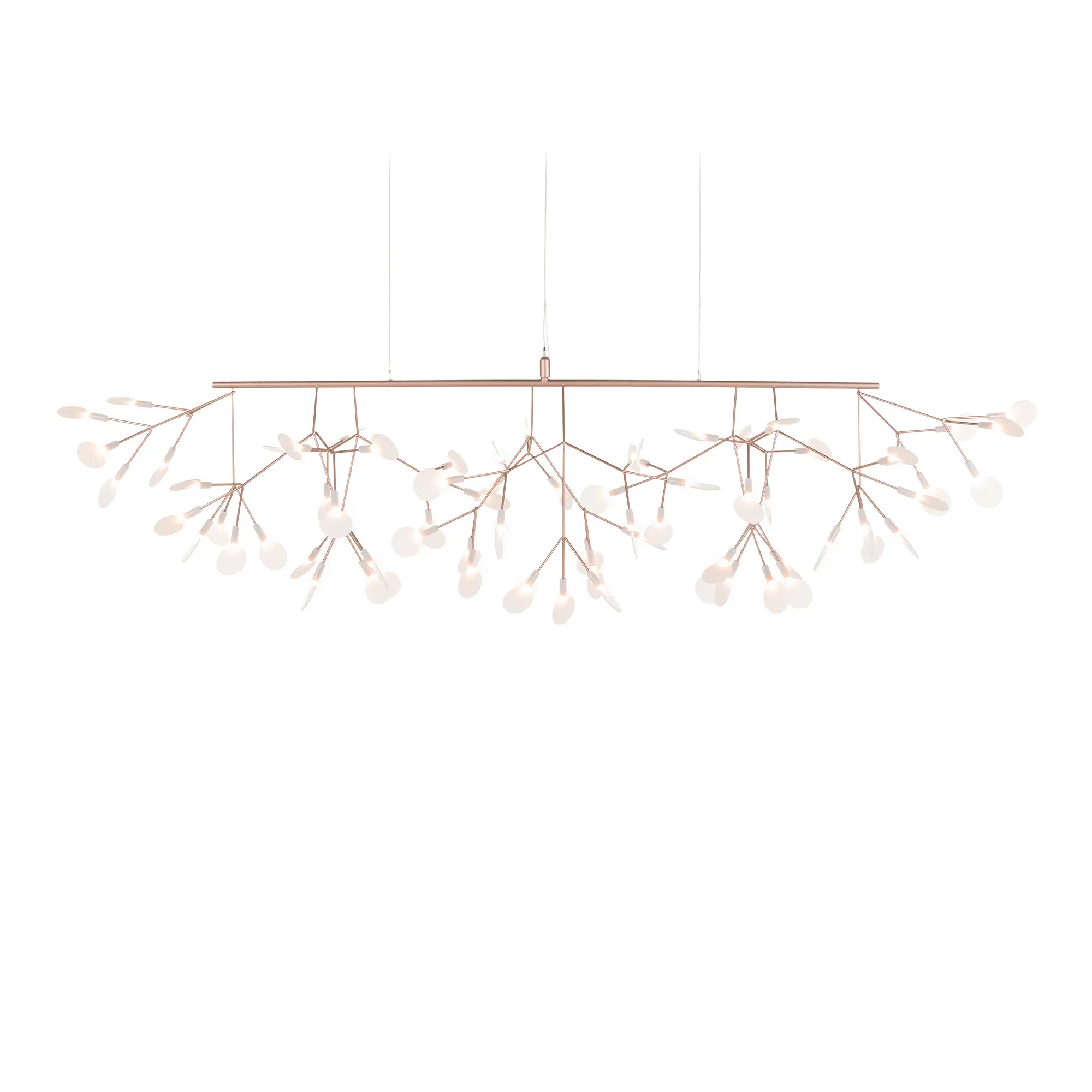 Heracleum III Linear lysekrone