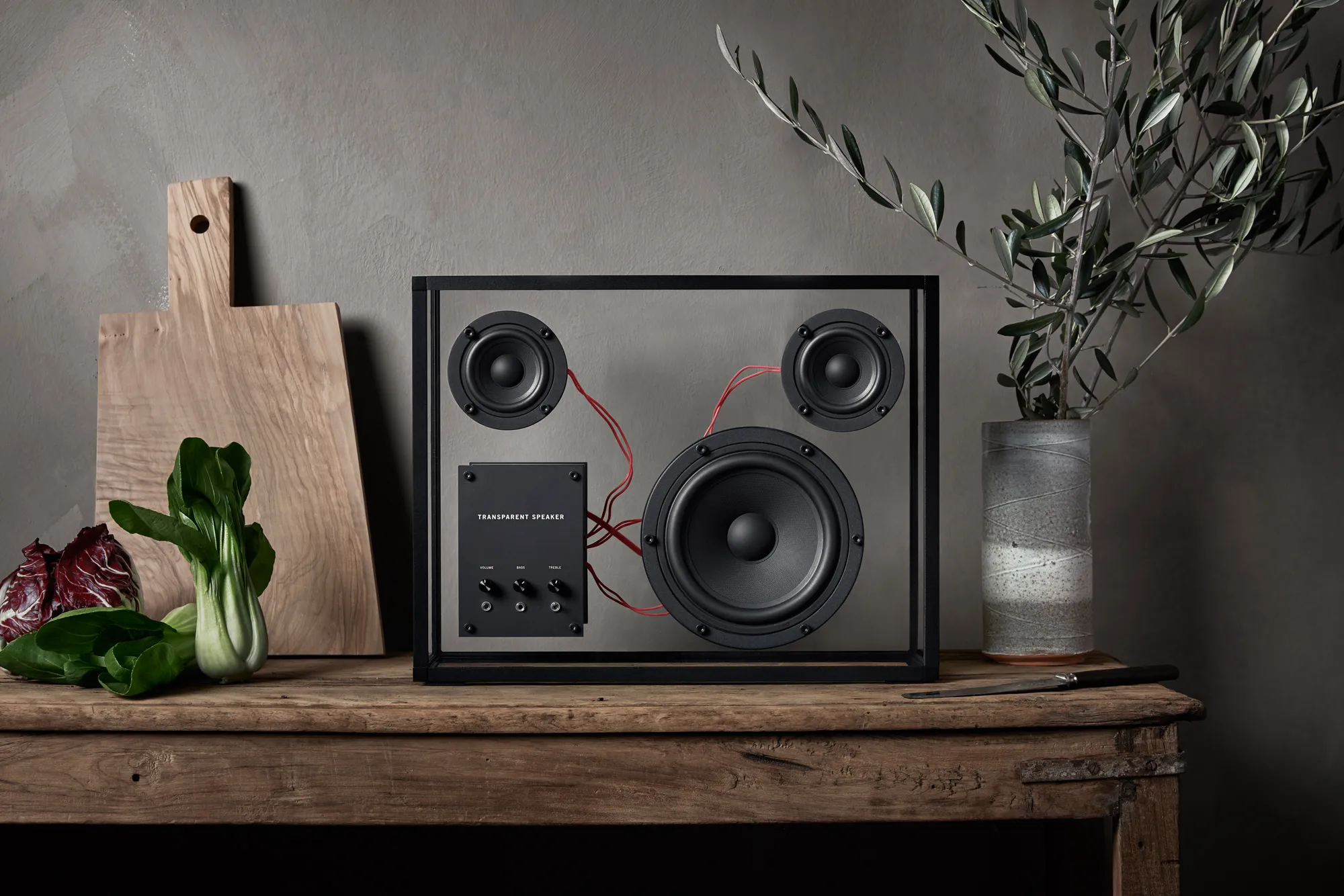 Transparent Speaker Red Cables