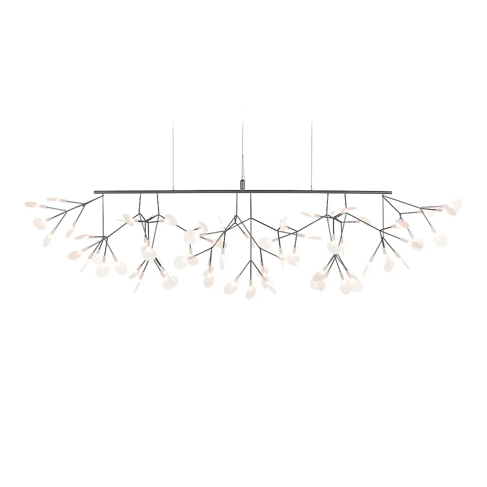 Heracleum III Linear