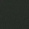Congress 251 Black