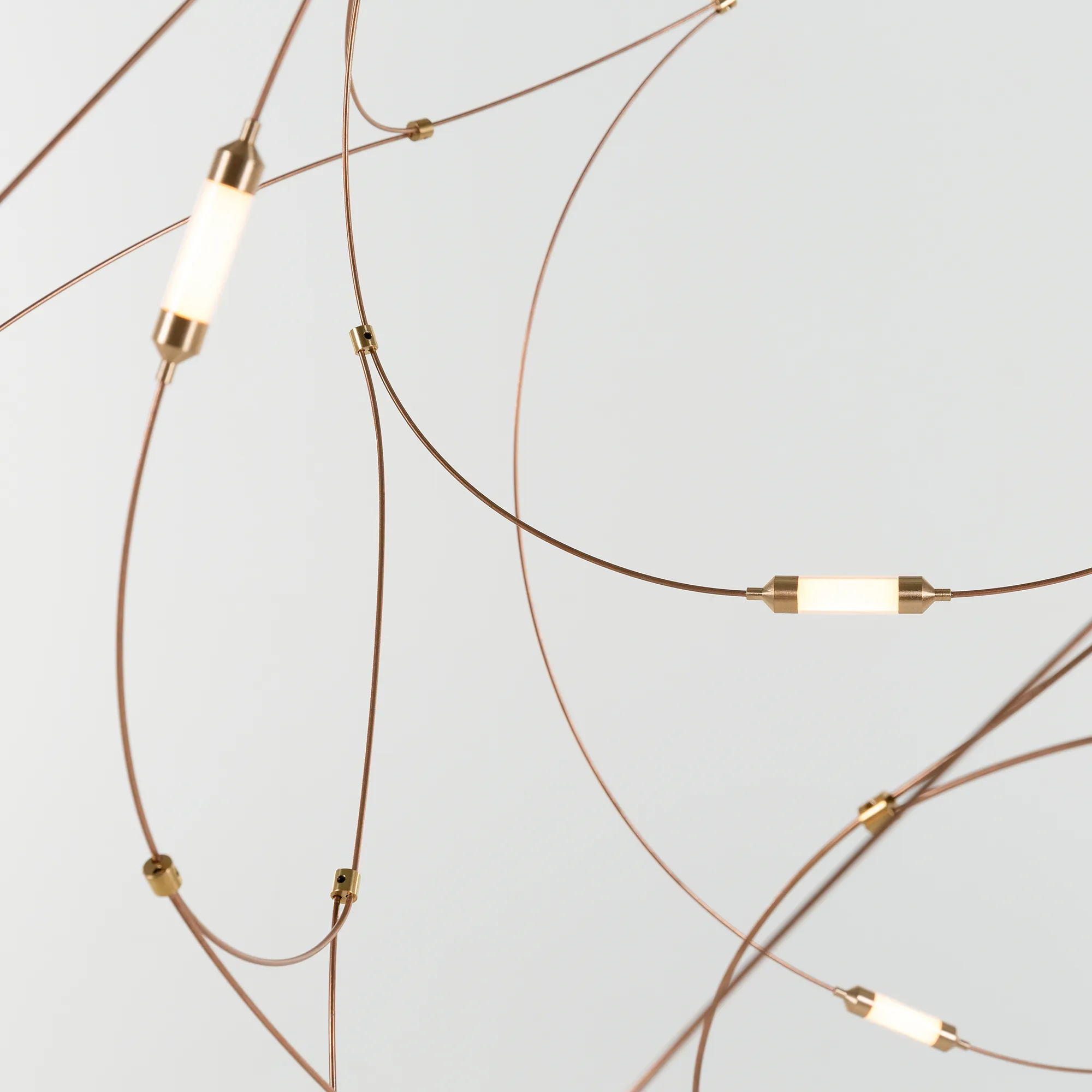 Flock Of Light 21
