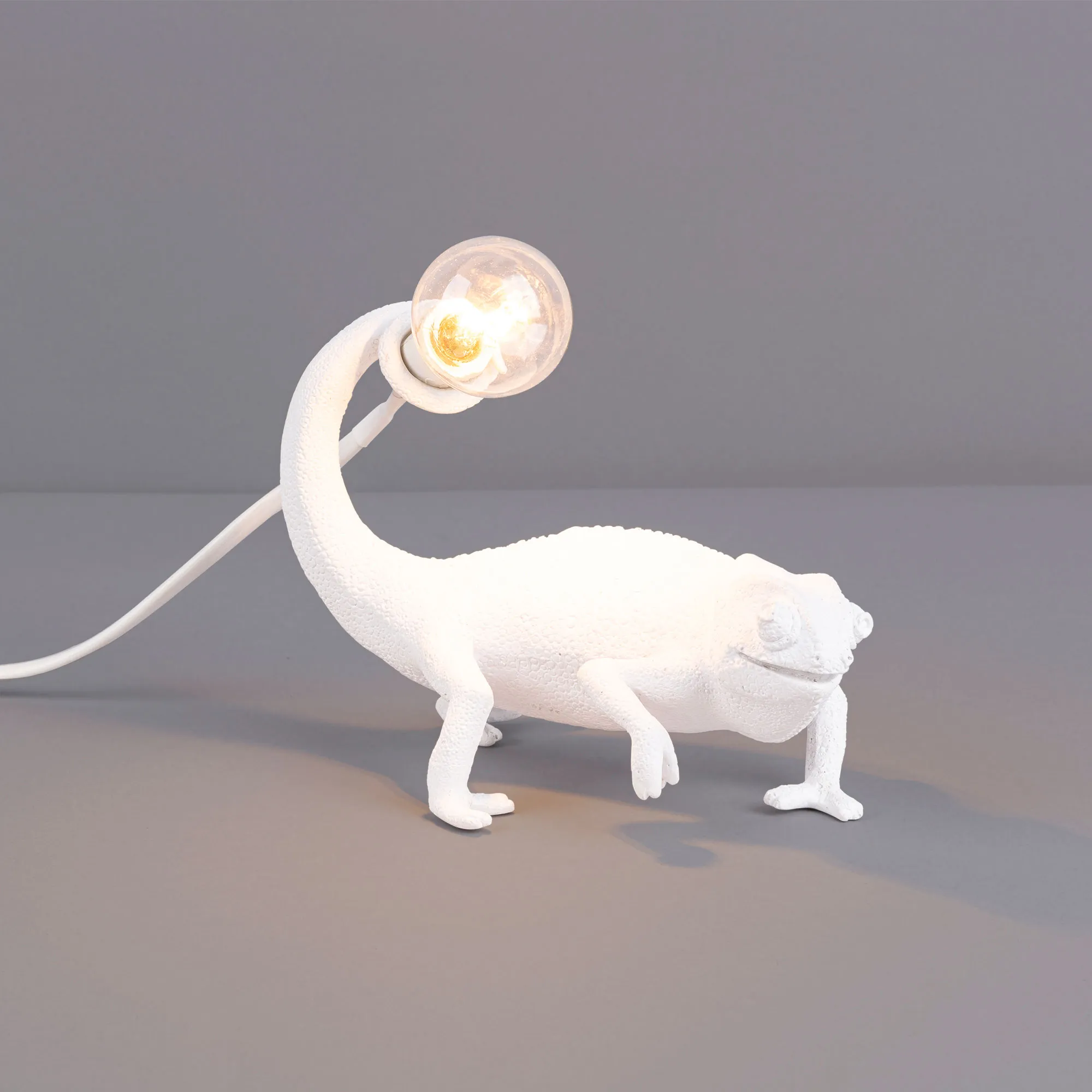 Chameleon Lamp