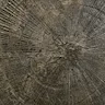 Ray Whisky Minerals