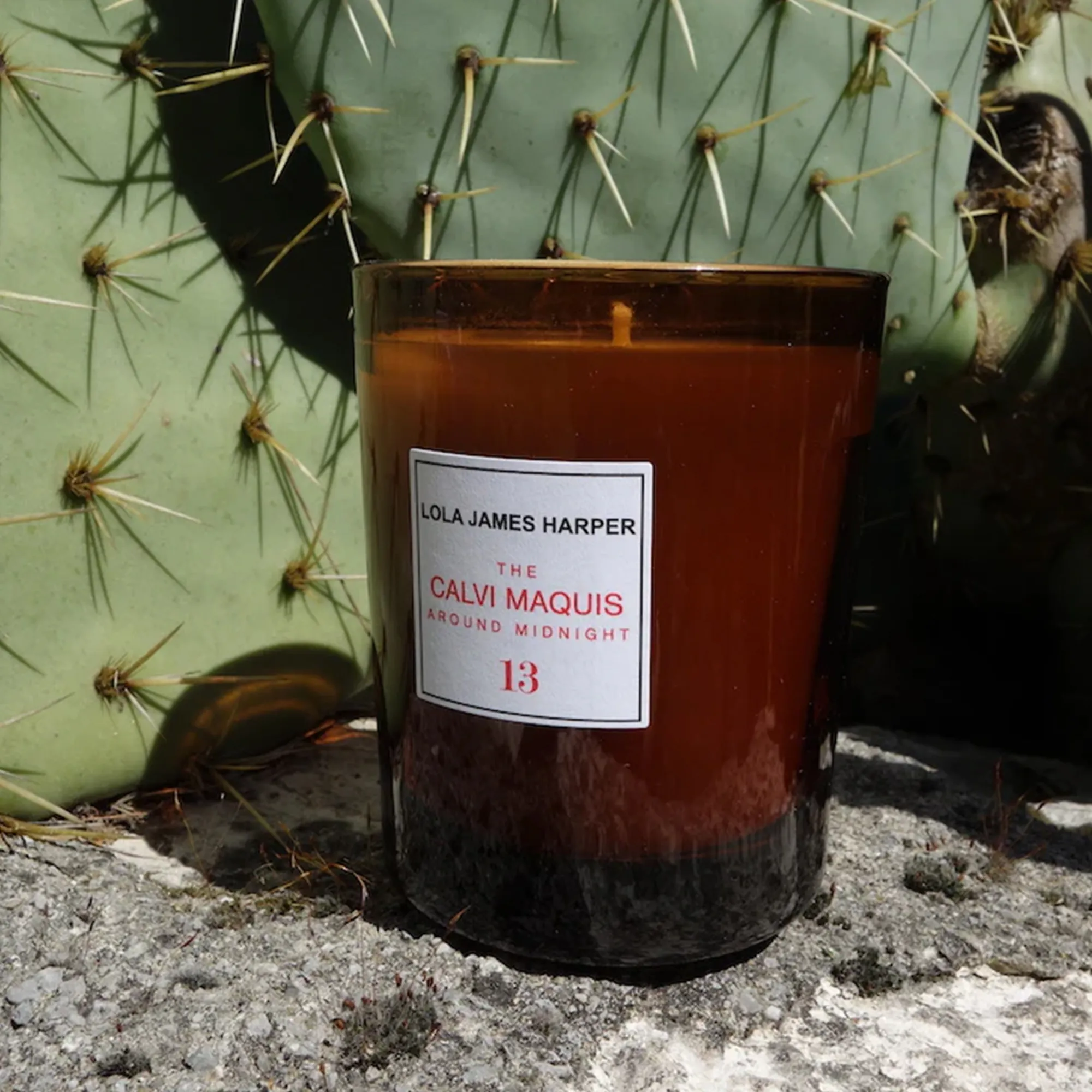 The Calvi Maquis Around Midnight Candle