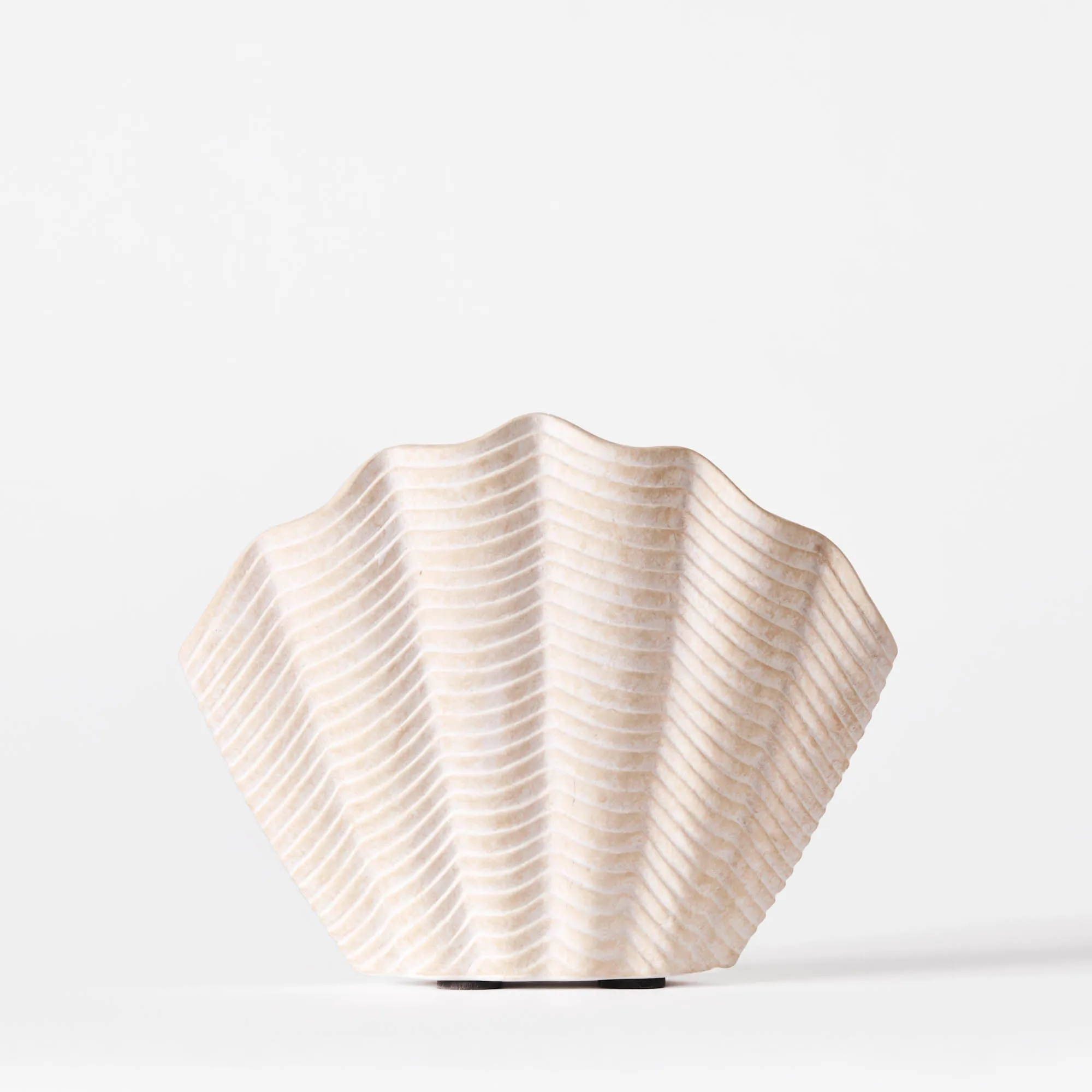 Concha Vase Fluted Medium