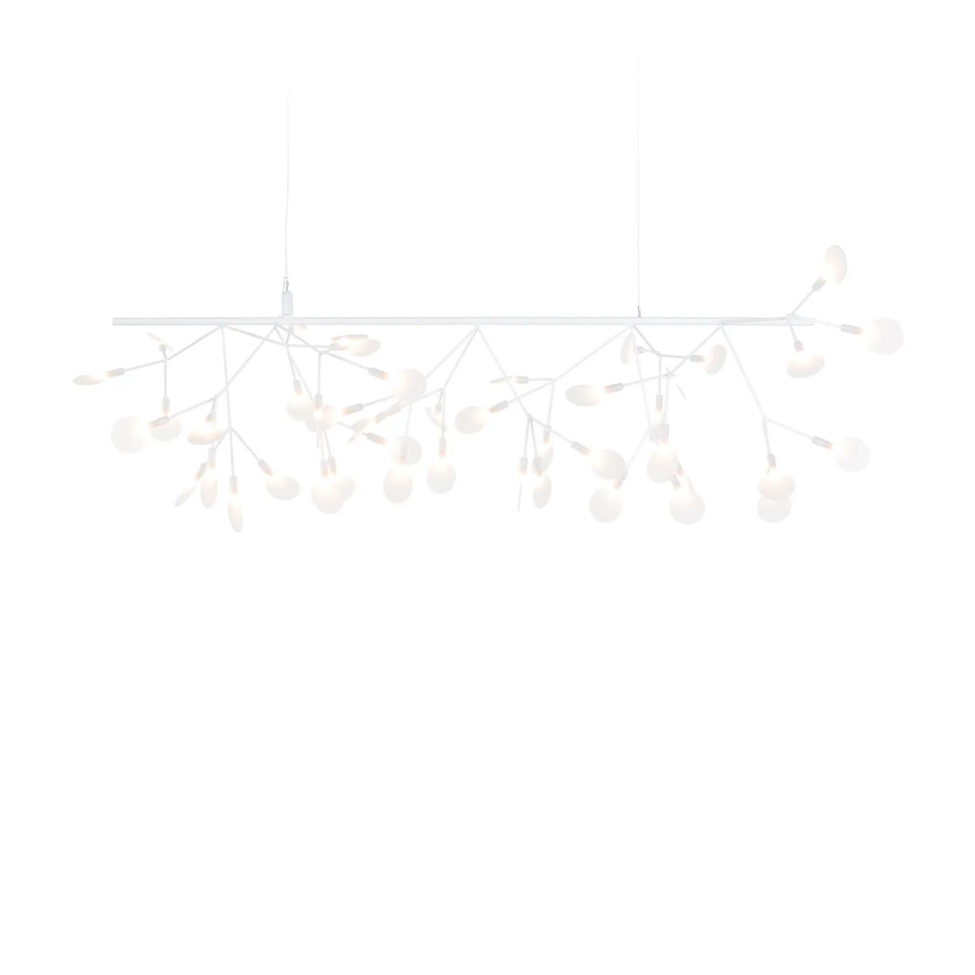 Heracleum III Endless