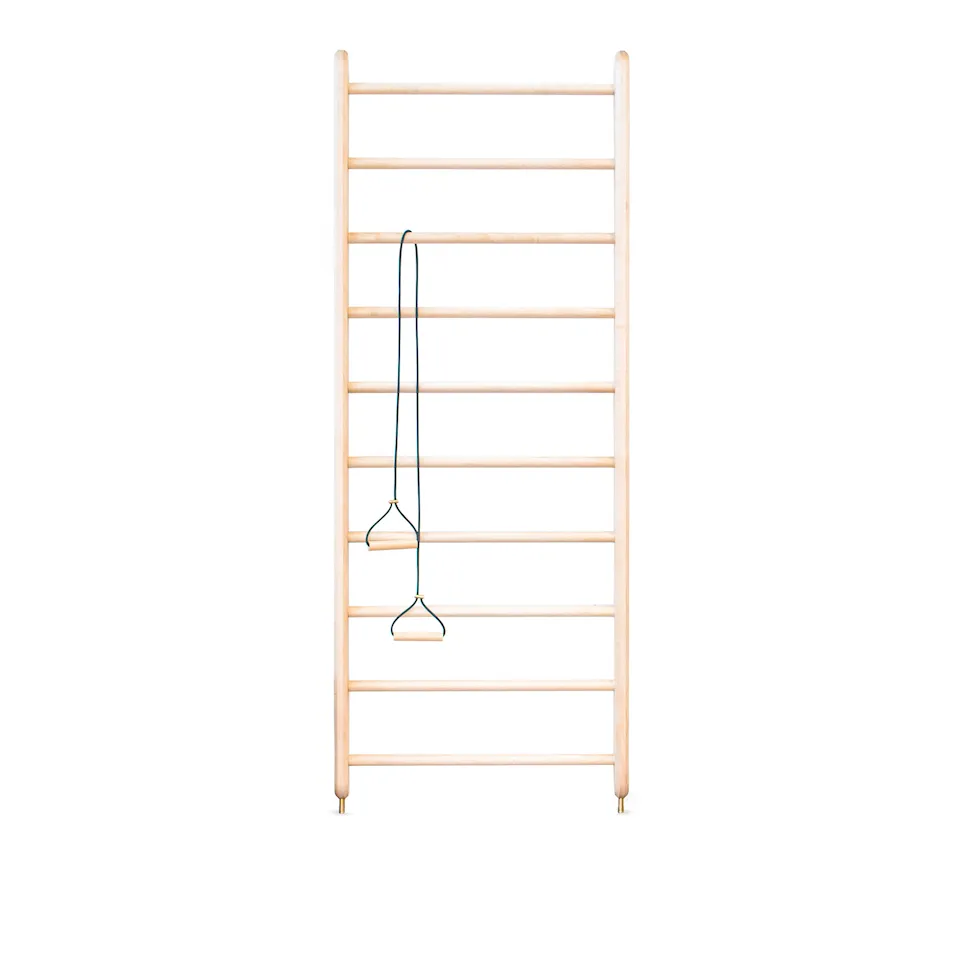 Wall Bars